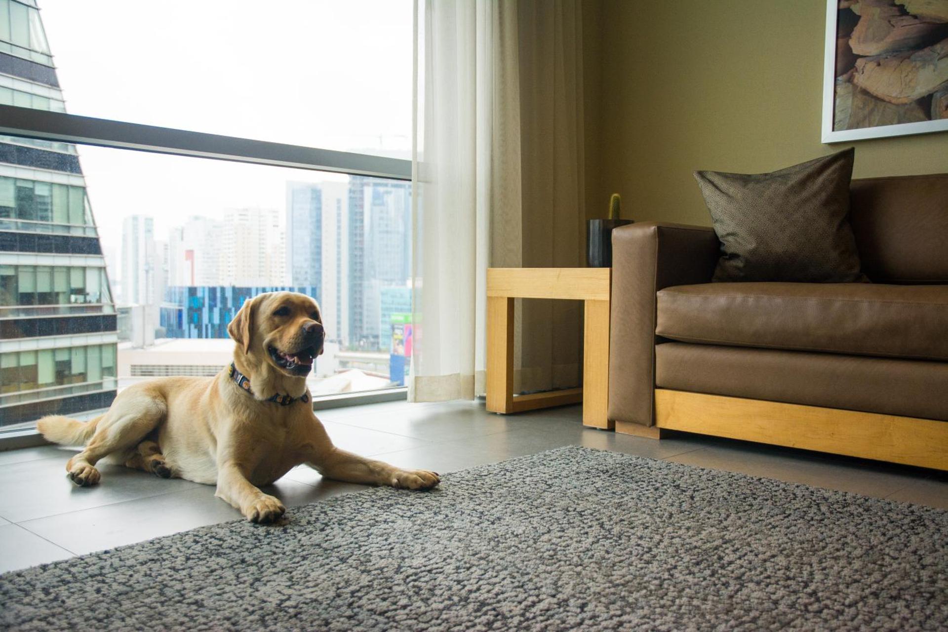 Stadia Suites Mexico City Santa Fe - Photo 17