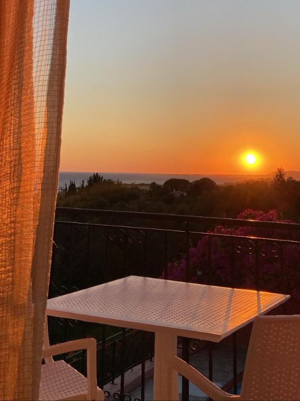 Paradise Studios - Photo 74