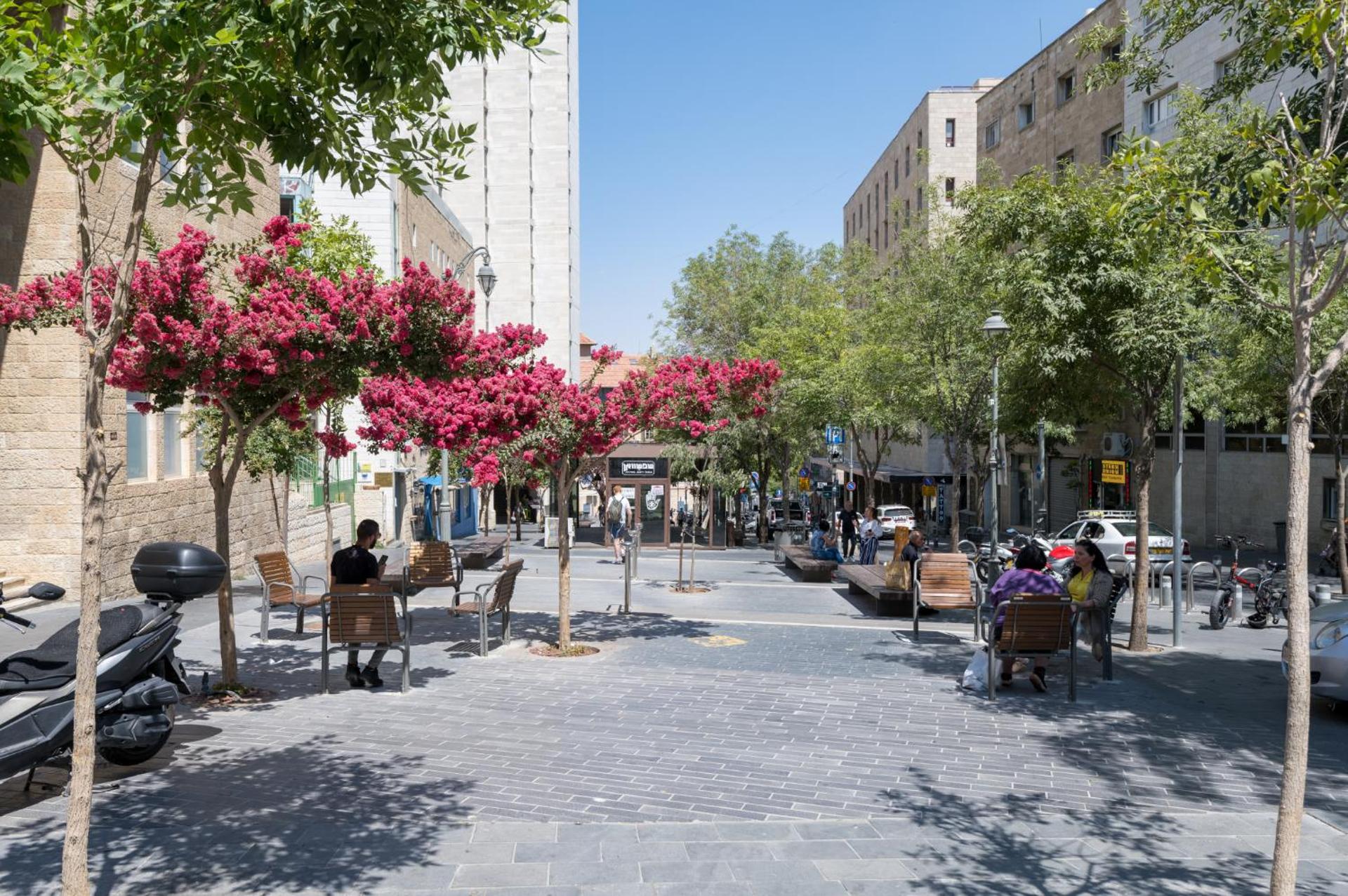 Aju Hillel 14 - Photo 20