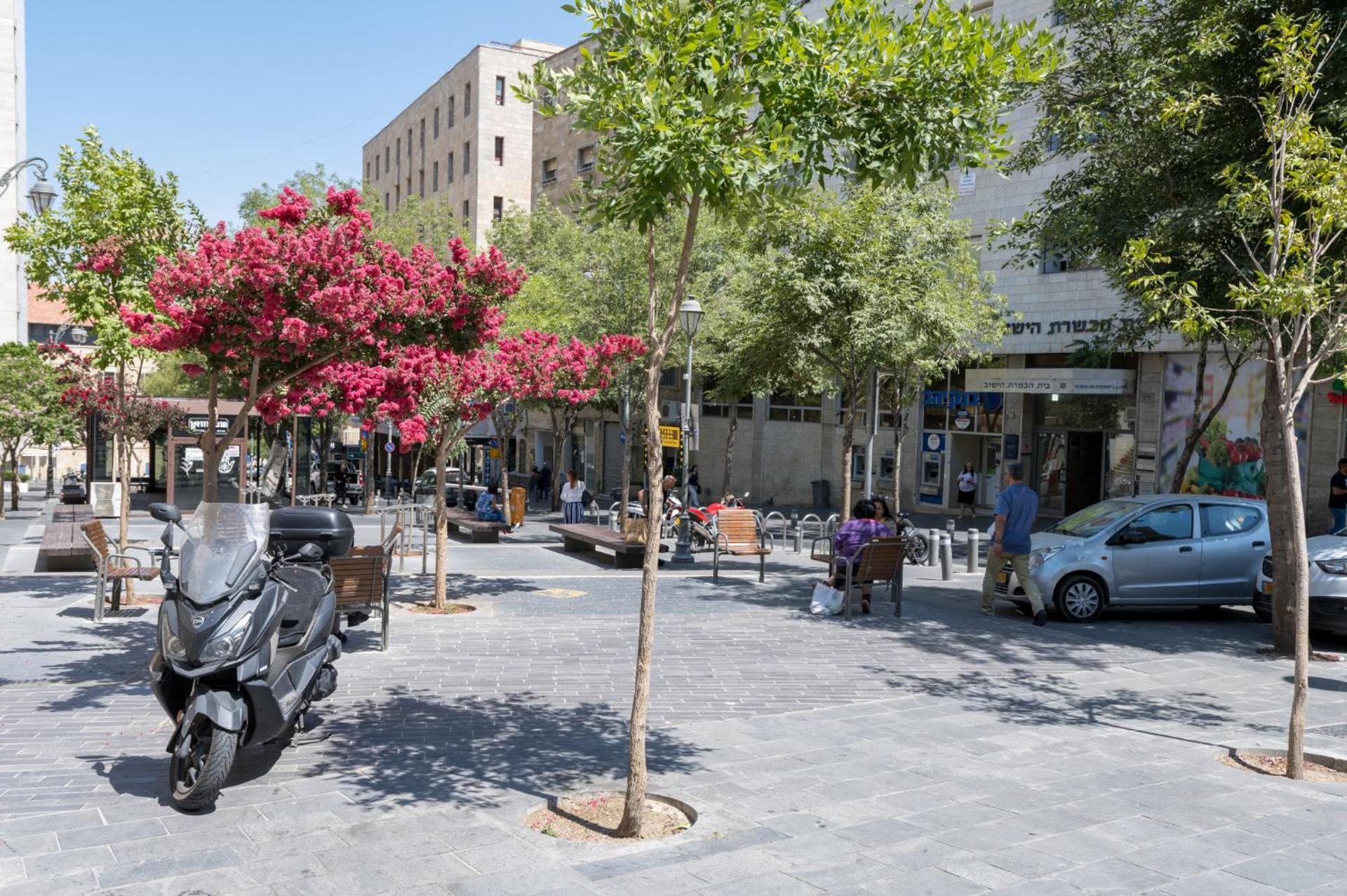 Aju Hillel 14 - Photo 19