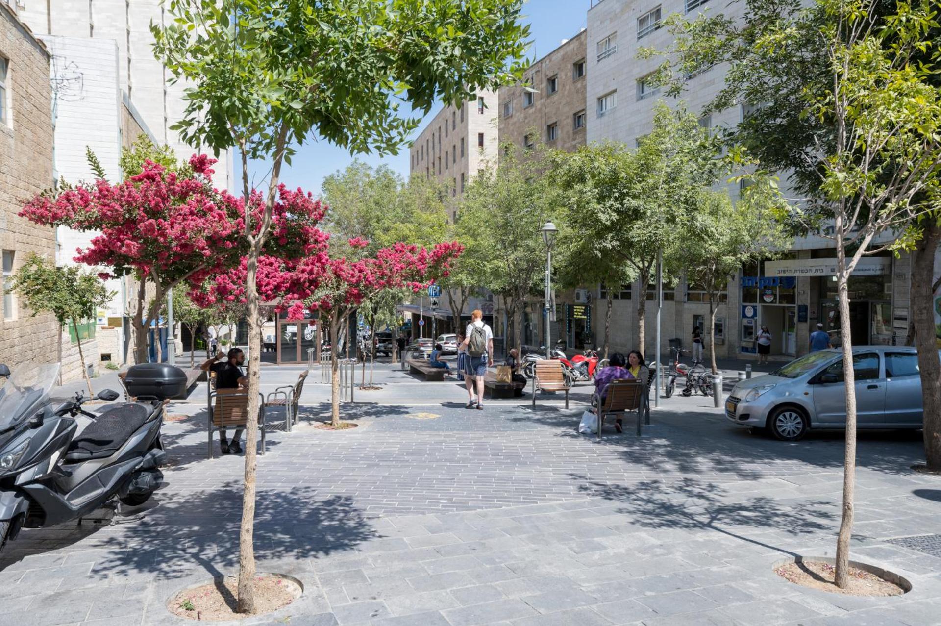 Aju Hillel 14 - Photo 21