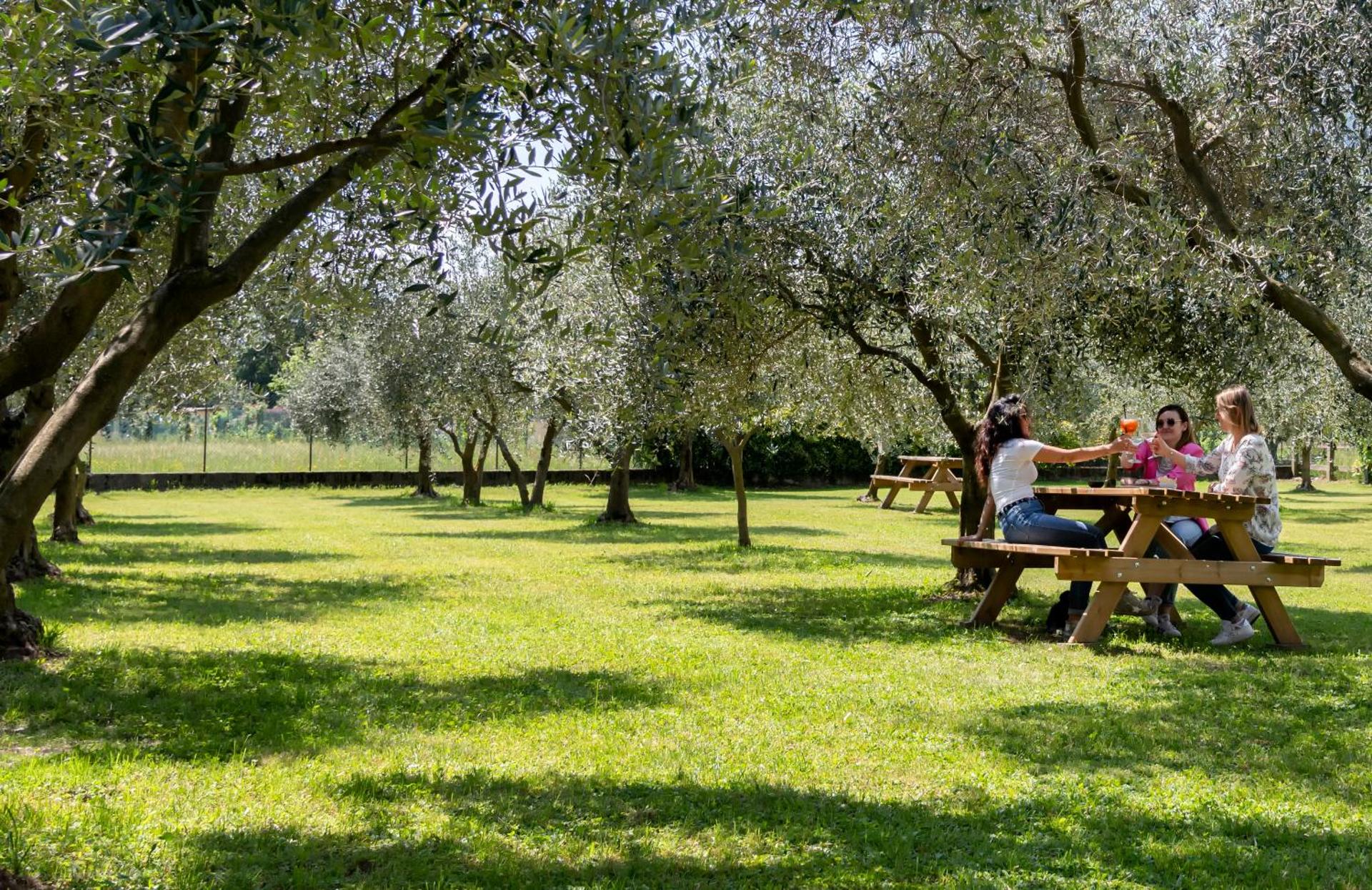 Agriturismo Cà Del Lago - Photo 61