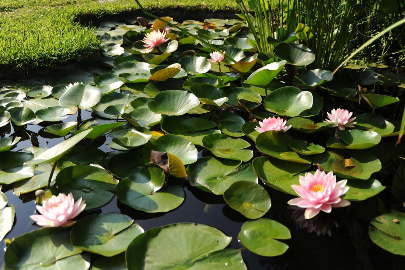 Villa Dei Misteri - Photo 20