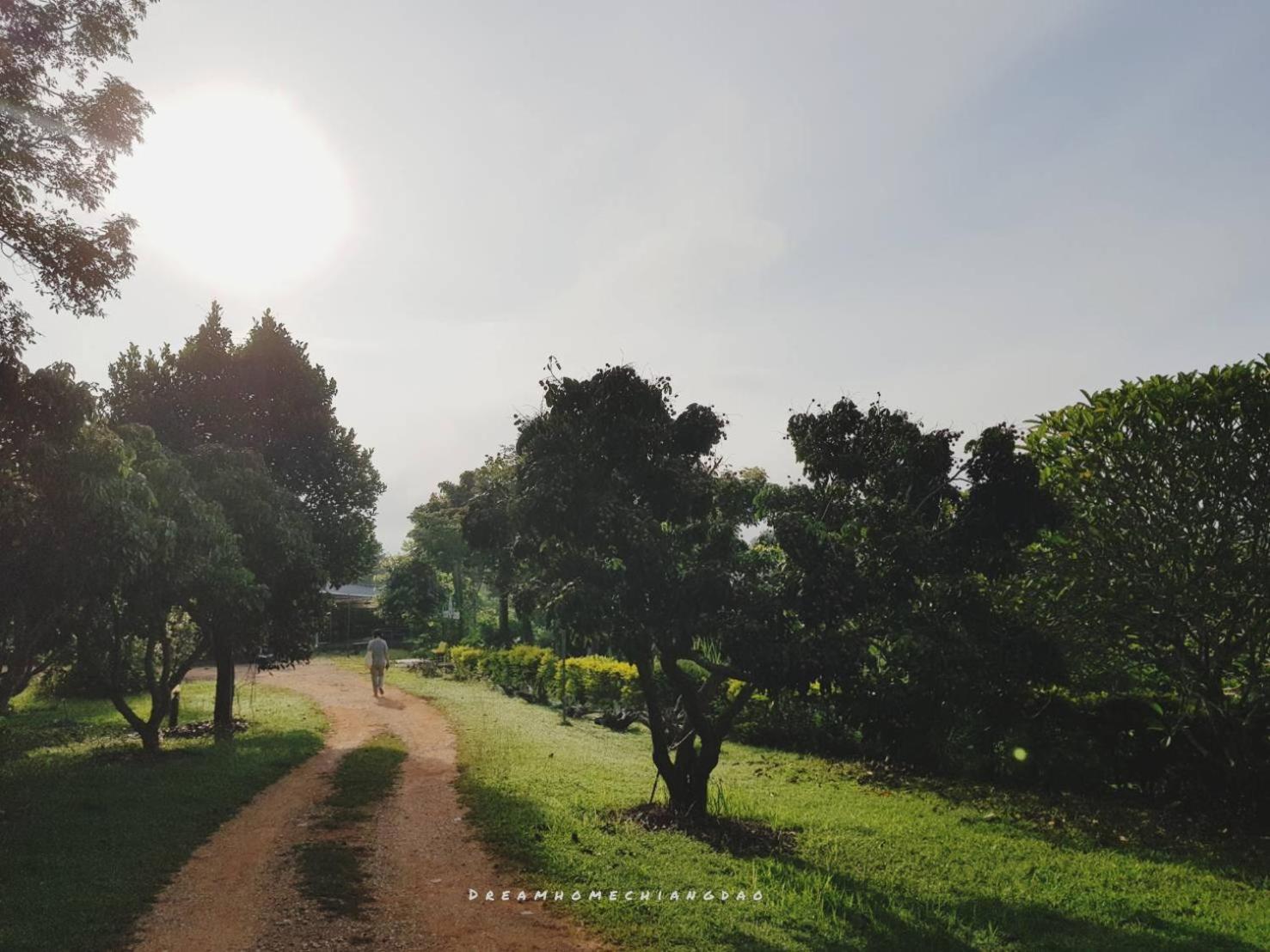 Dreamhome Chiangdao - Photo 42