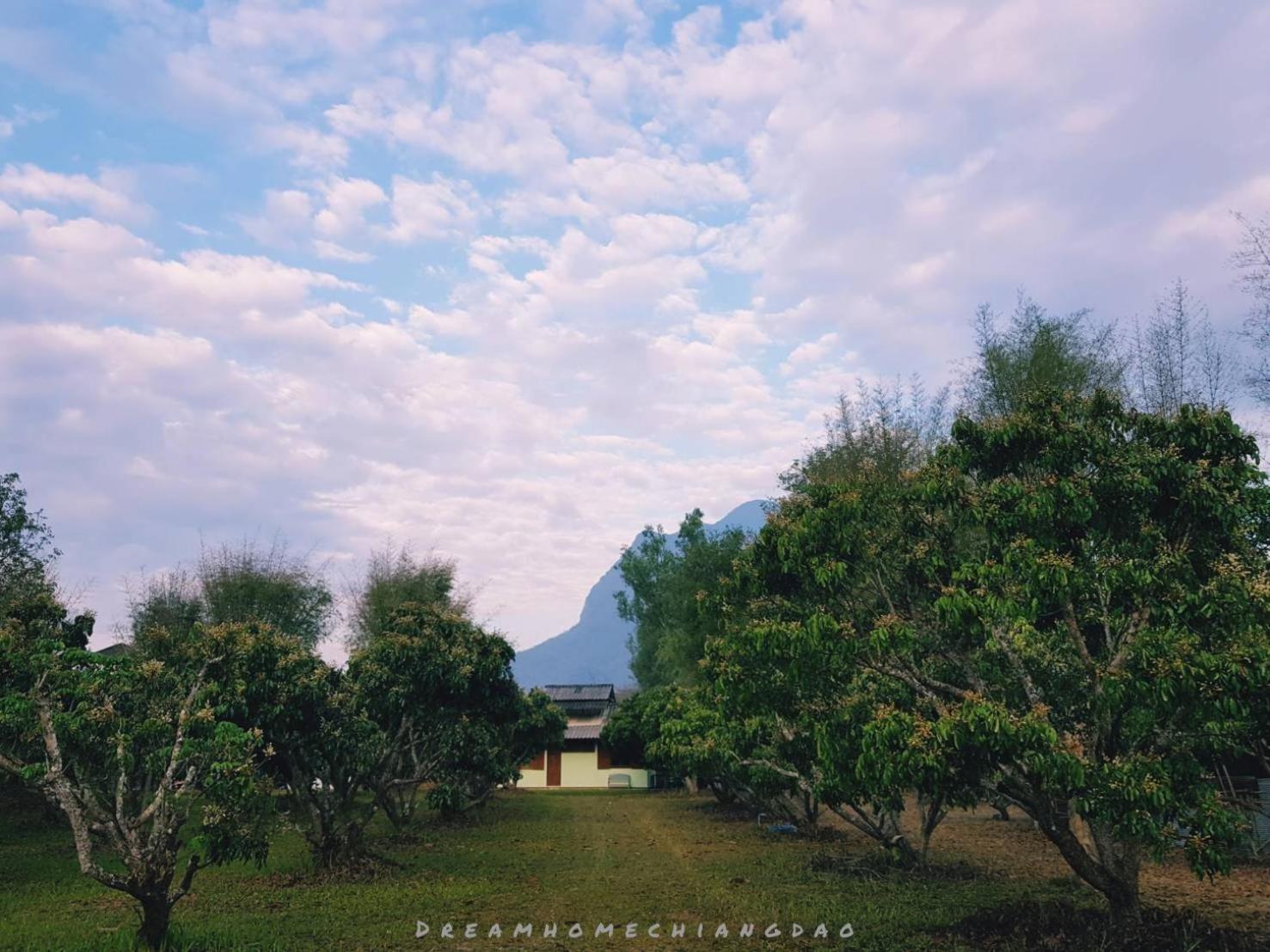 Dreamhome Chiangdao - Photo 44