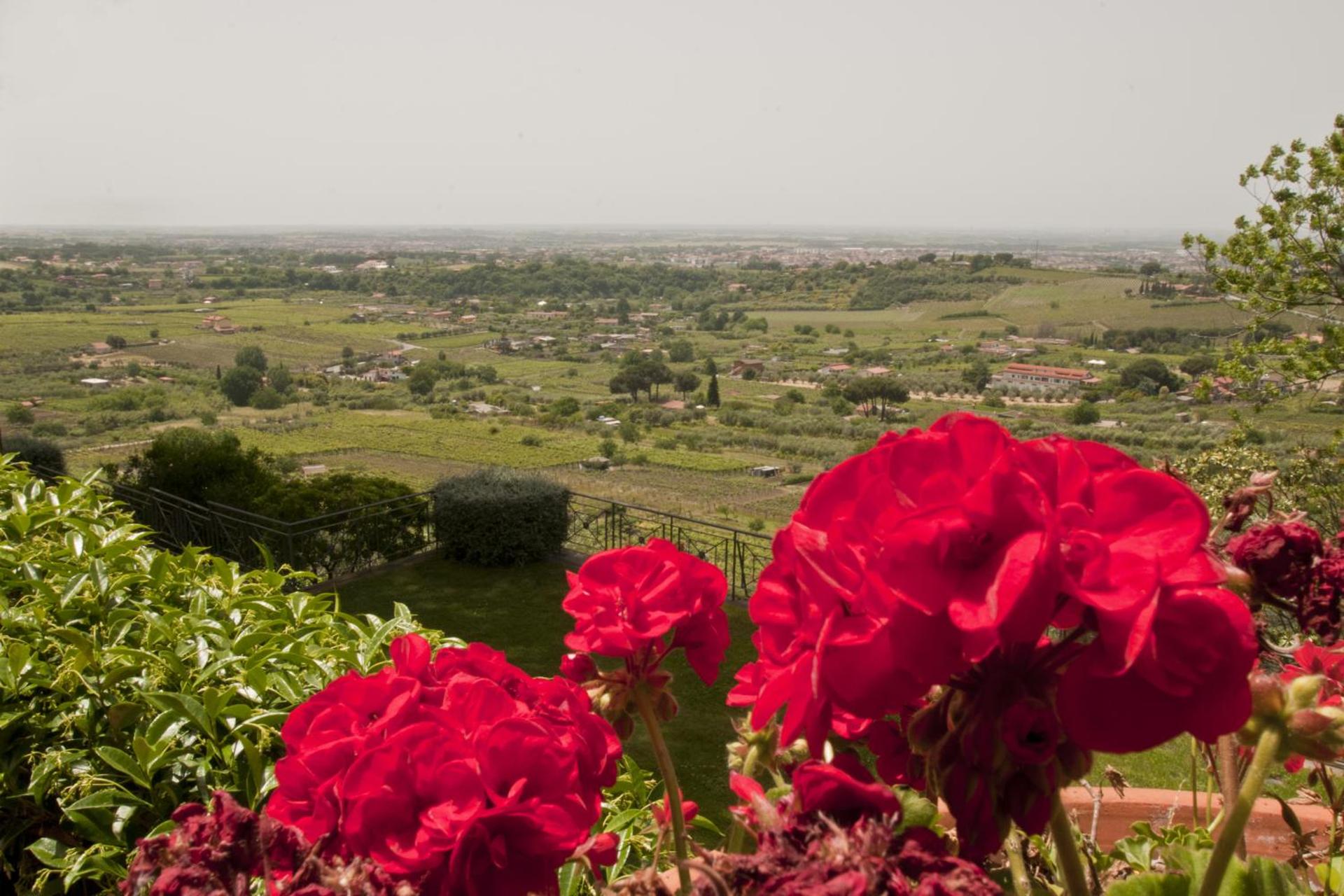 Tenuta Cusmano - Photo 18