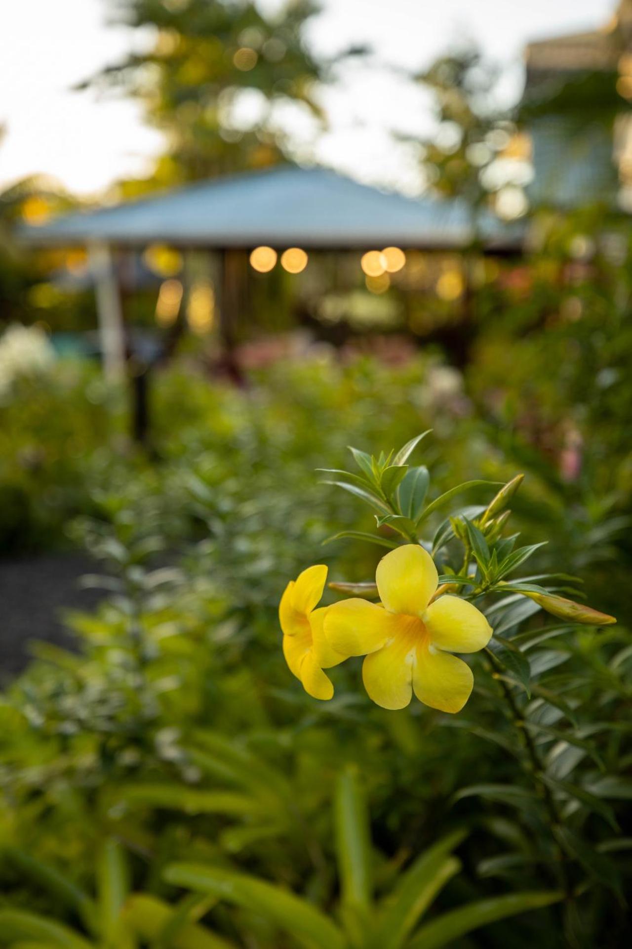 The Samoan Outrigger Hotel - Photo 18