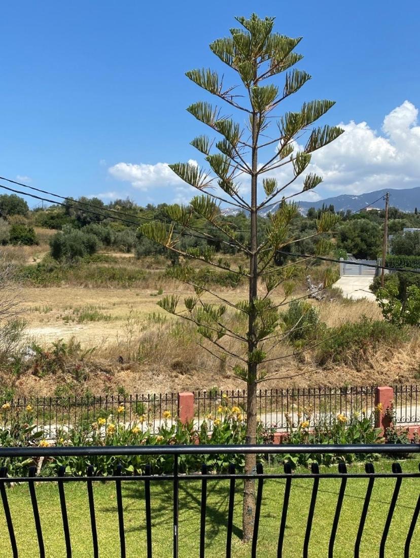 Paradise Studios - Photo 26