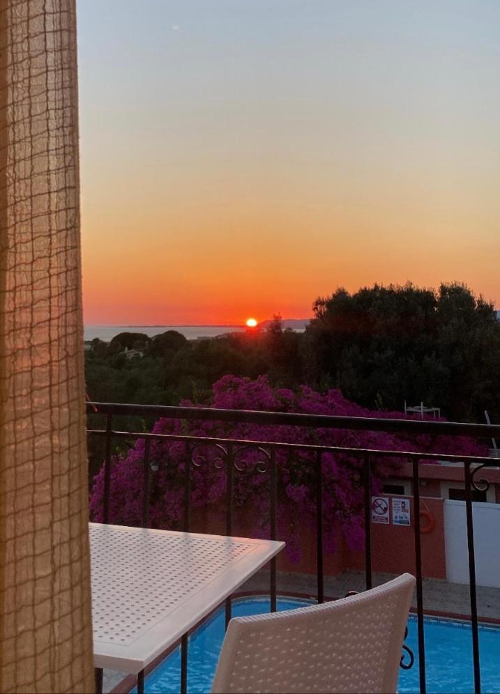 Paradise Studios - Photo 47