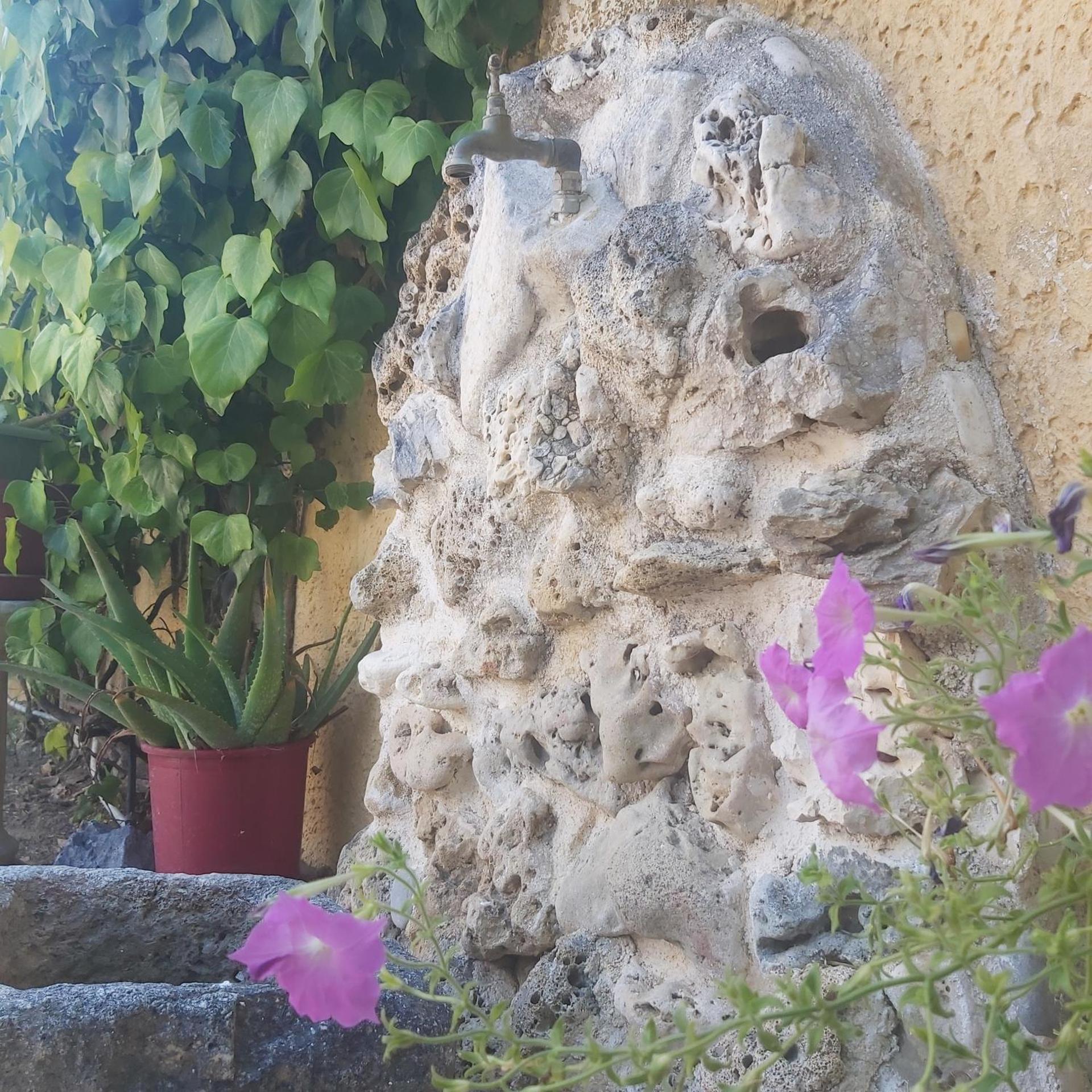 Studios Rania - Rania Studios & Apartments - Photo 17