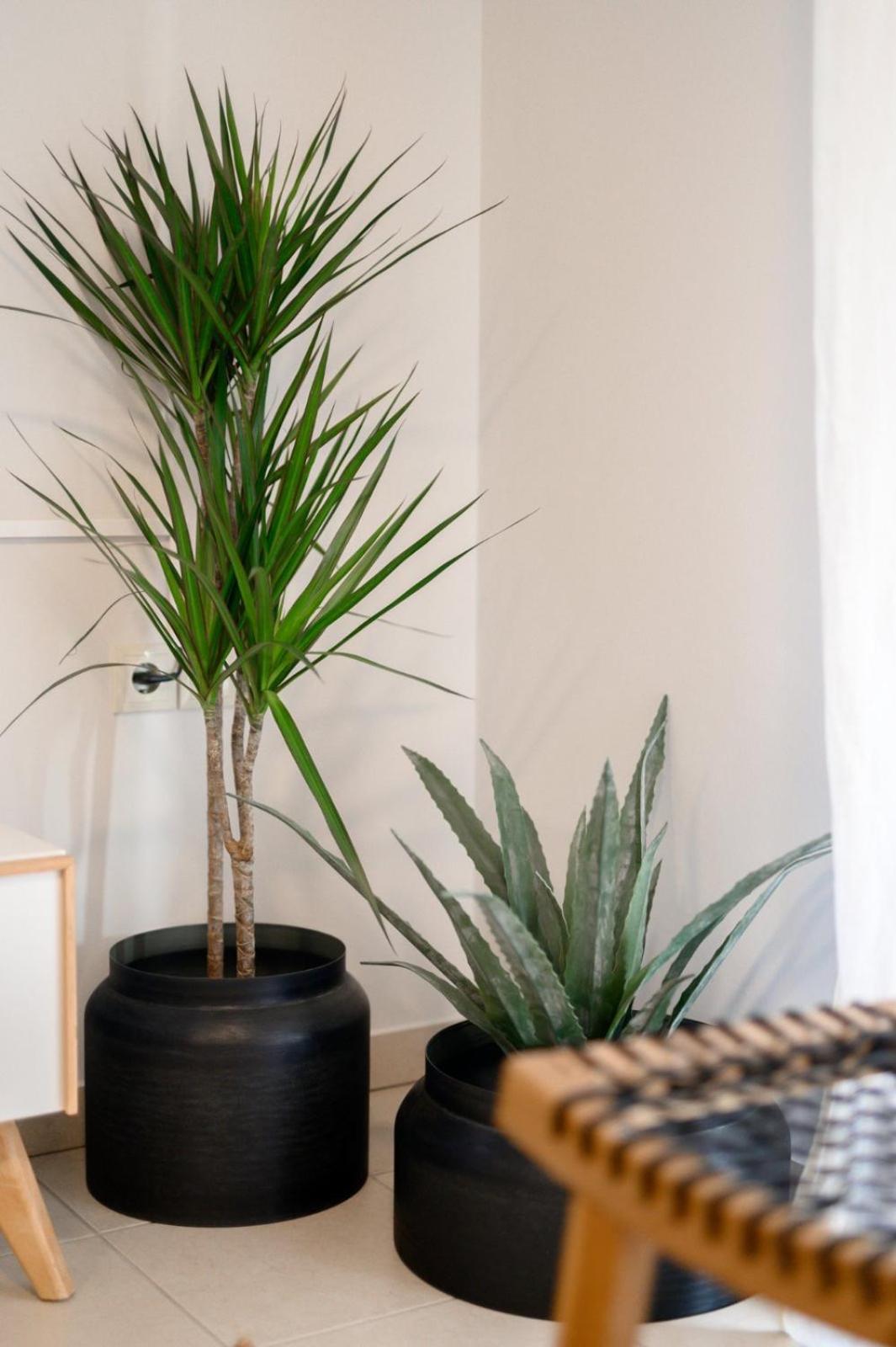 Pearl by the sea - Photo 4