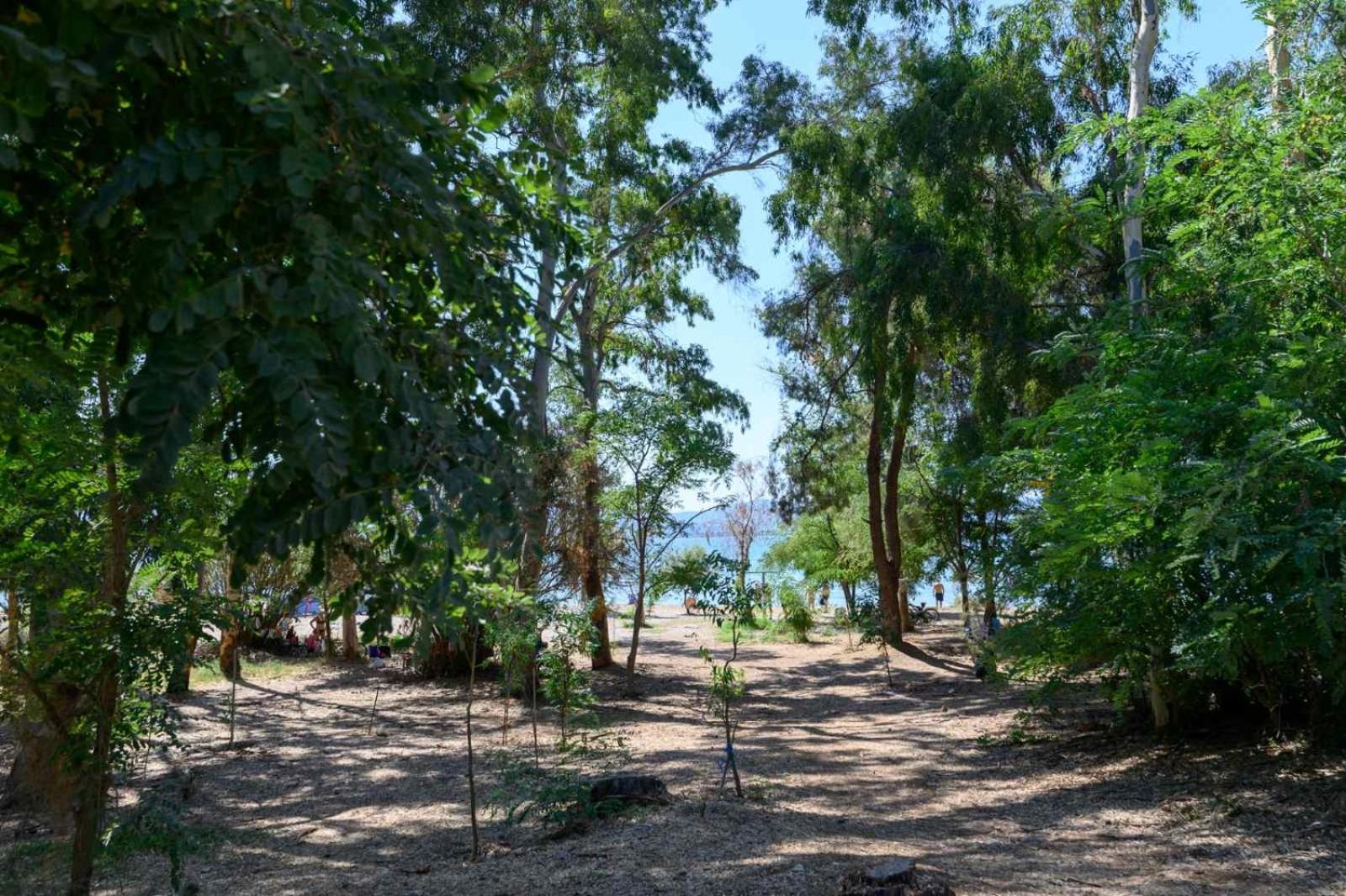 Pearl by the sea - Photo 16