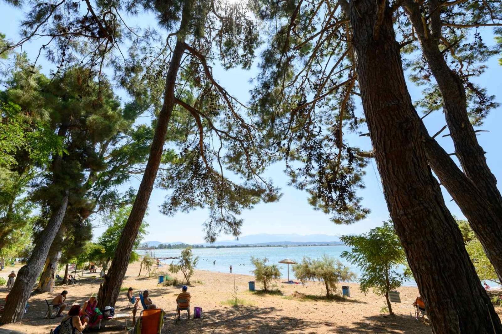 Pearl by the sea - Photo 18