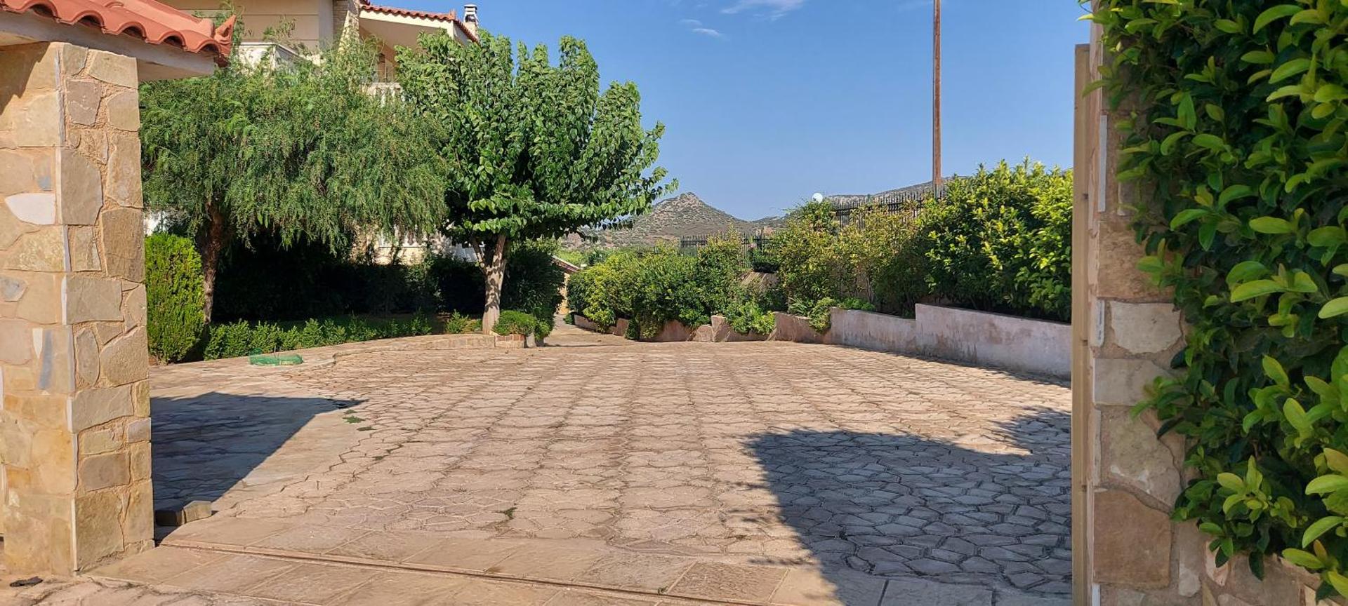 Evelina's suite - Photo 21