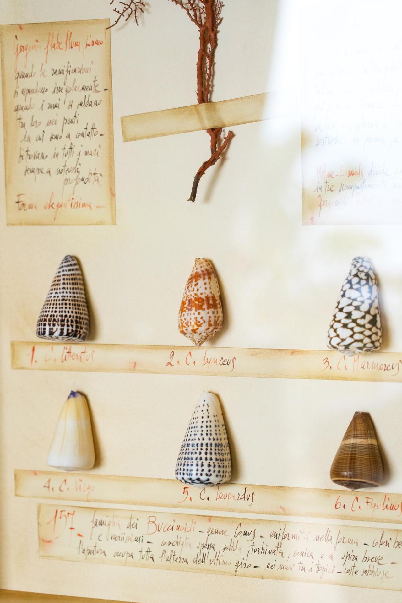 Hotel Villa Ducale - Photo 28