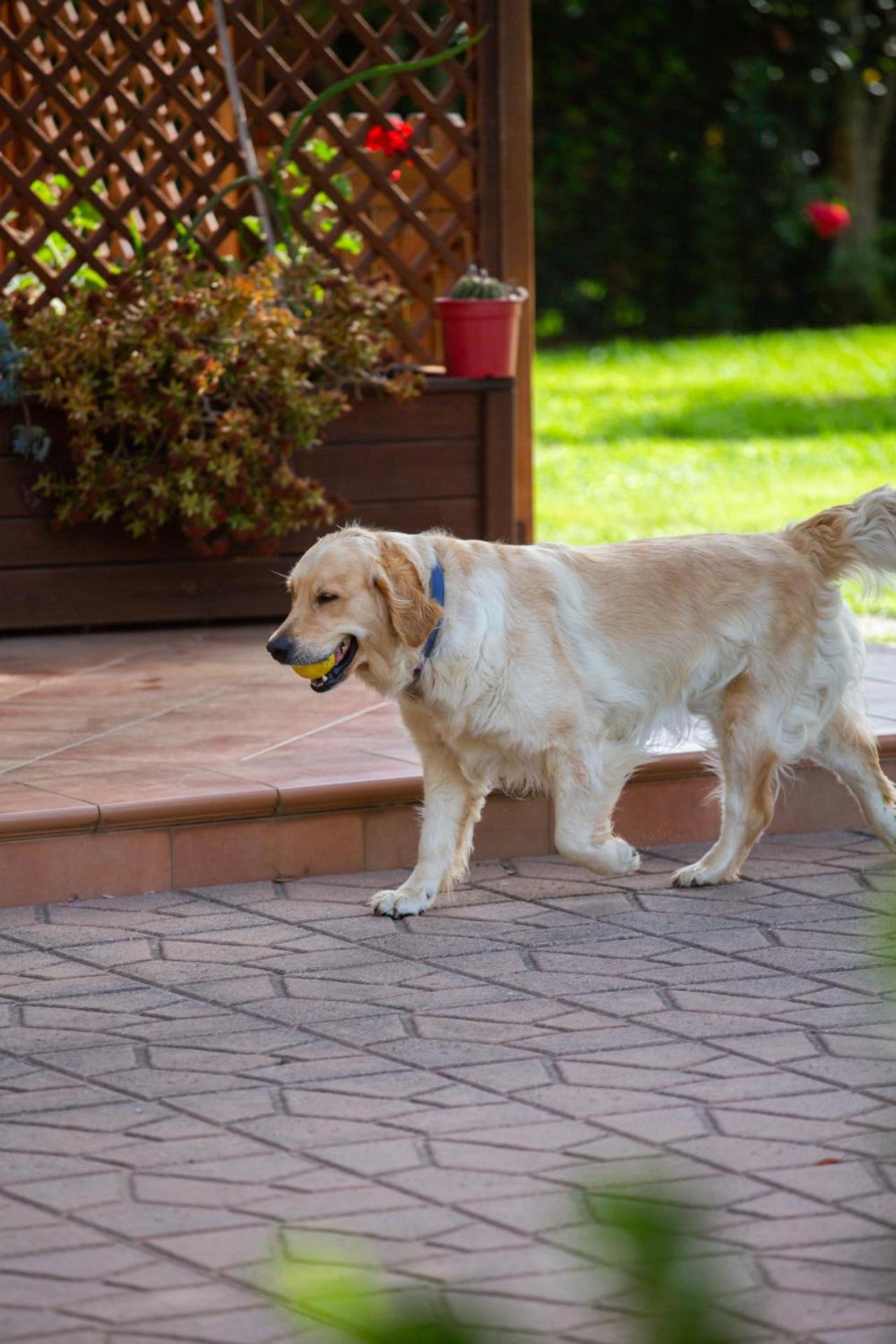 I Lecci Guesthouse - Photo 217