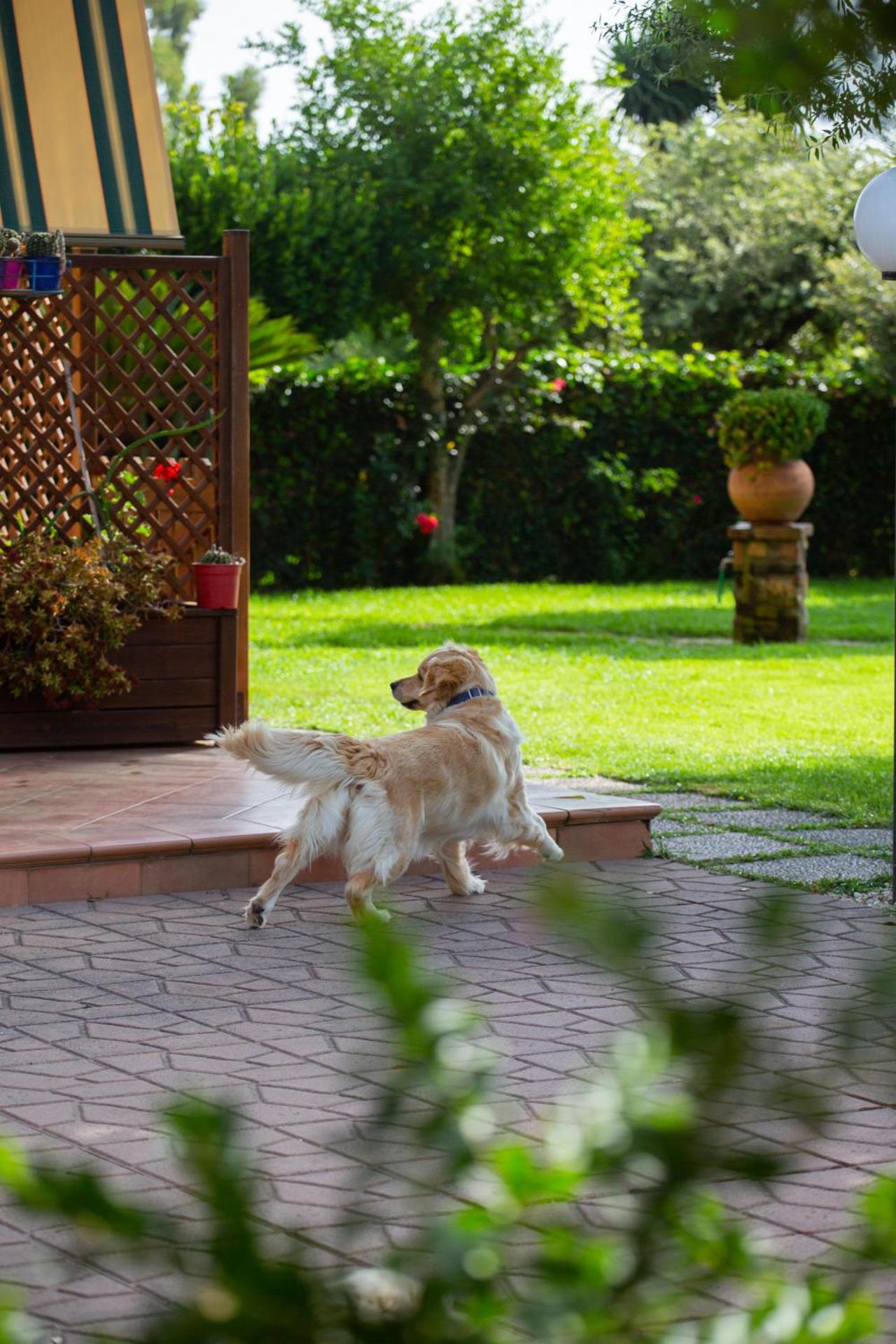 I Lecci Guesthouse - Photo 216