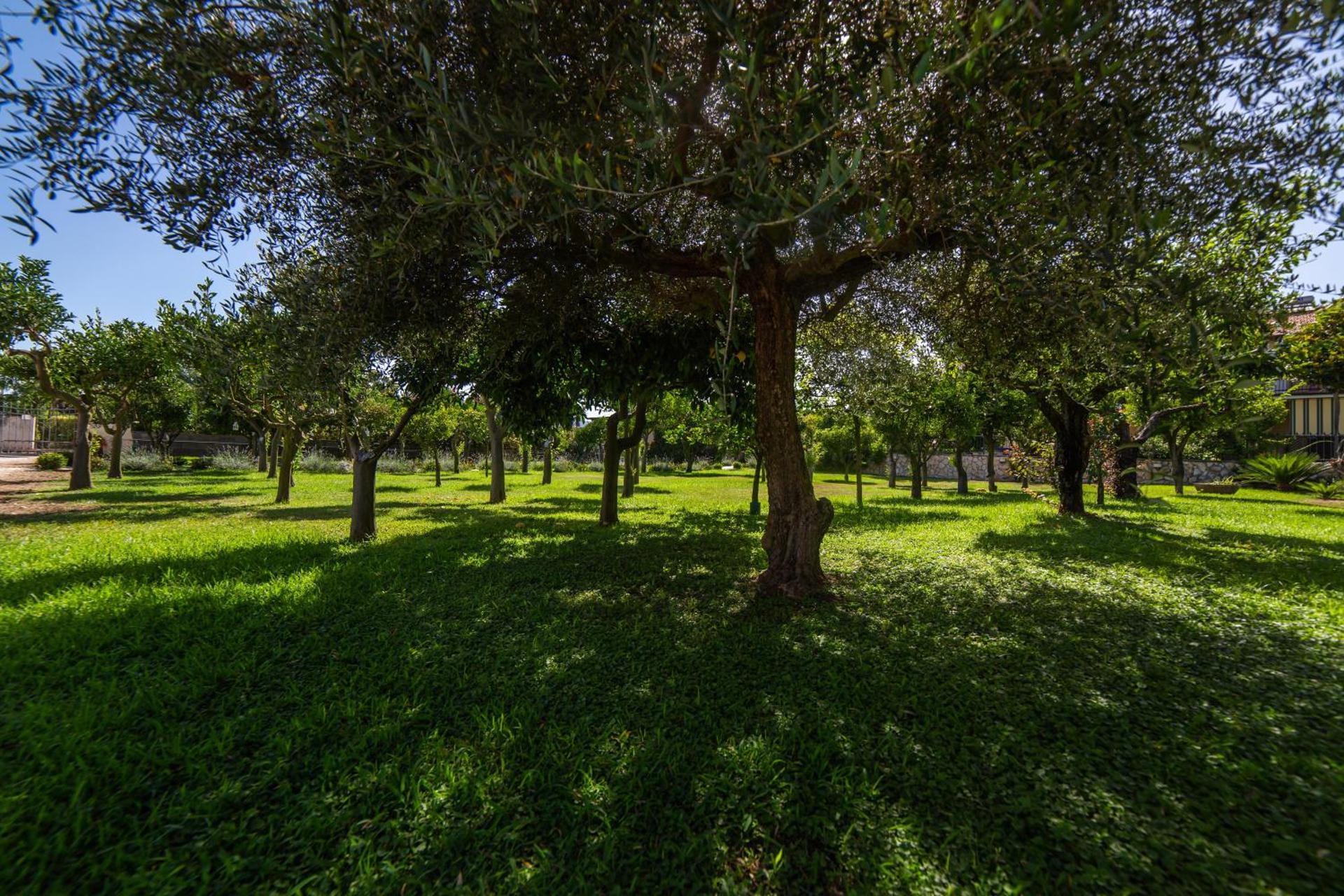 I Lecci Guesthouse - Photo 250