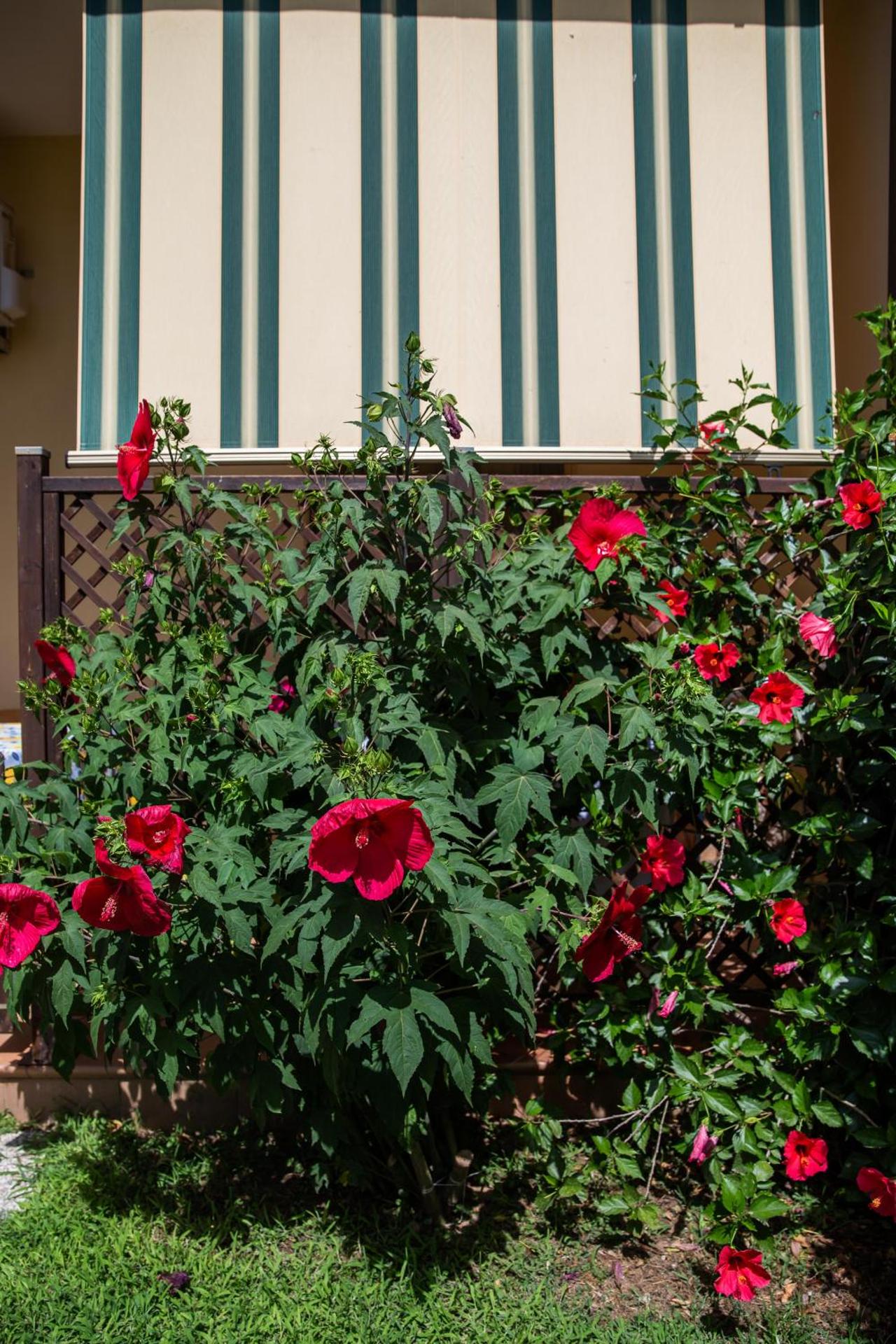 I Lecci Guesthouse - Photo 15