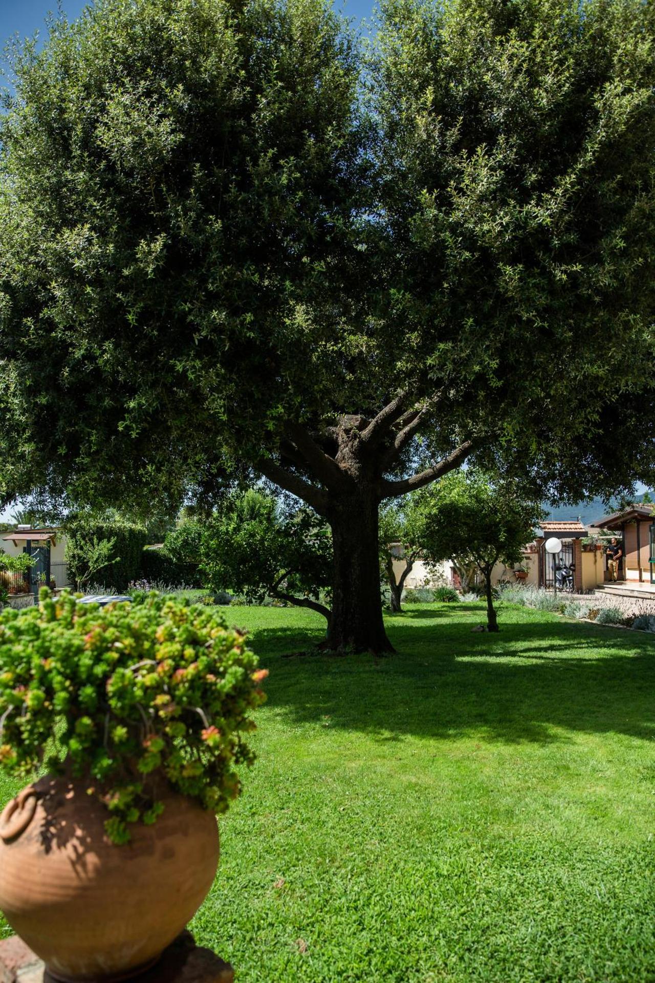 I Lecci Guesthouse - Photo 262