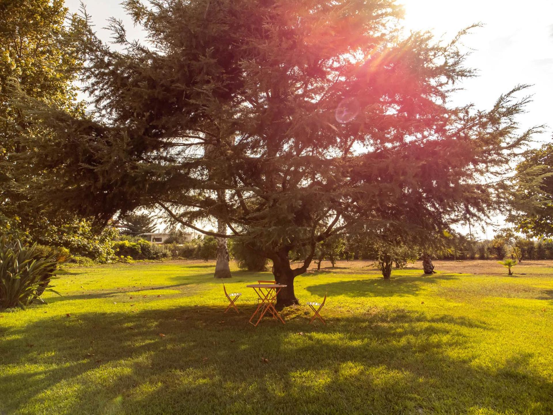 Elea resort - Photo 3