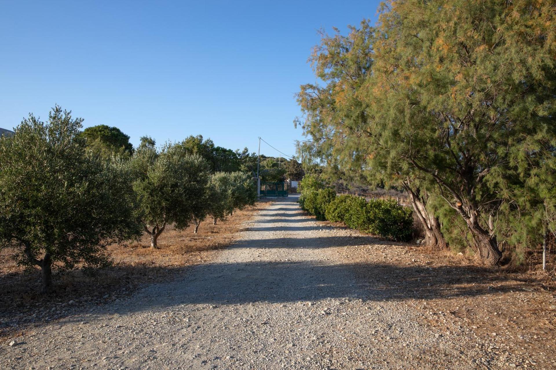 Villa Panoramica - Photo 9
