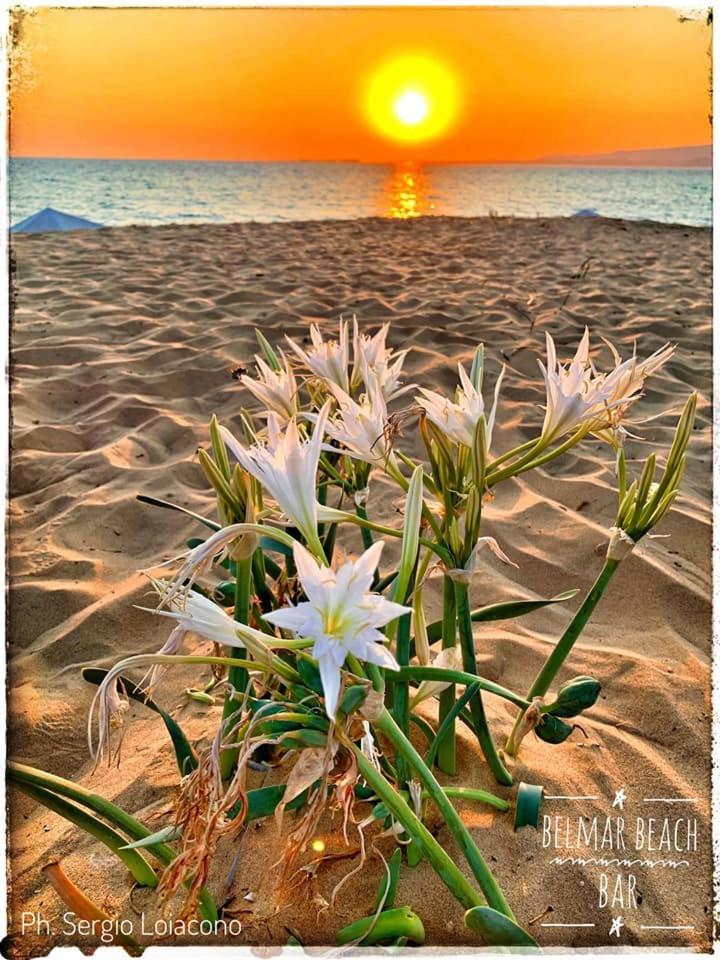 Ammos Residence - Photo 44