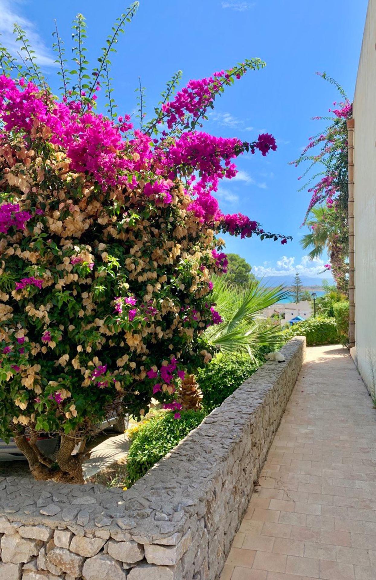 Villaggio Cala Mancina - Photo 35