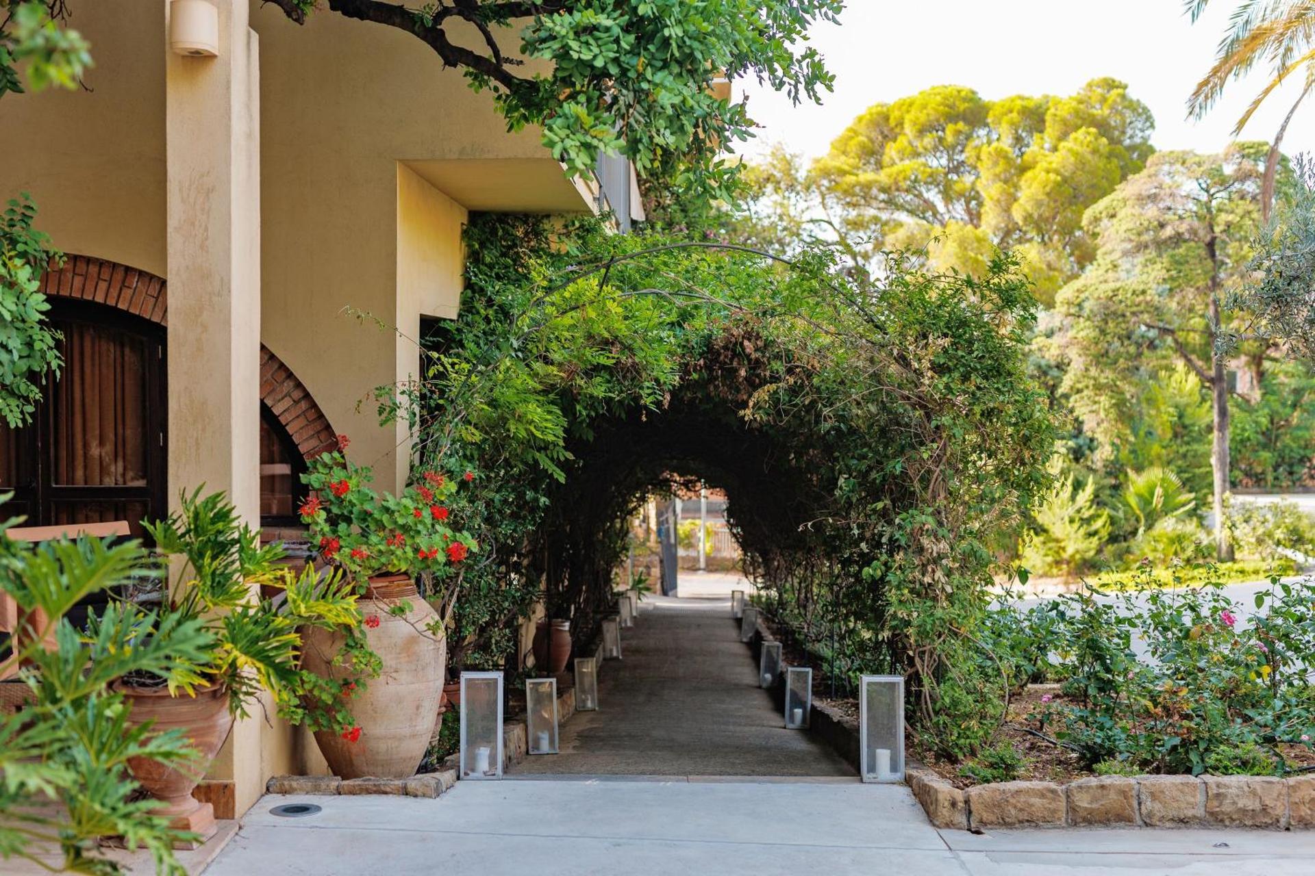 Alberi del Paradiso - Photo 121