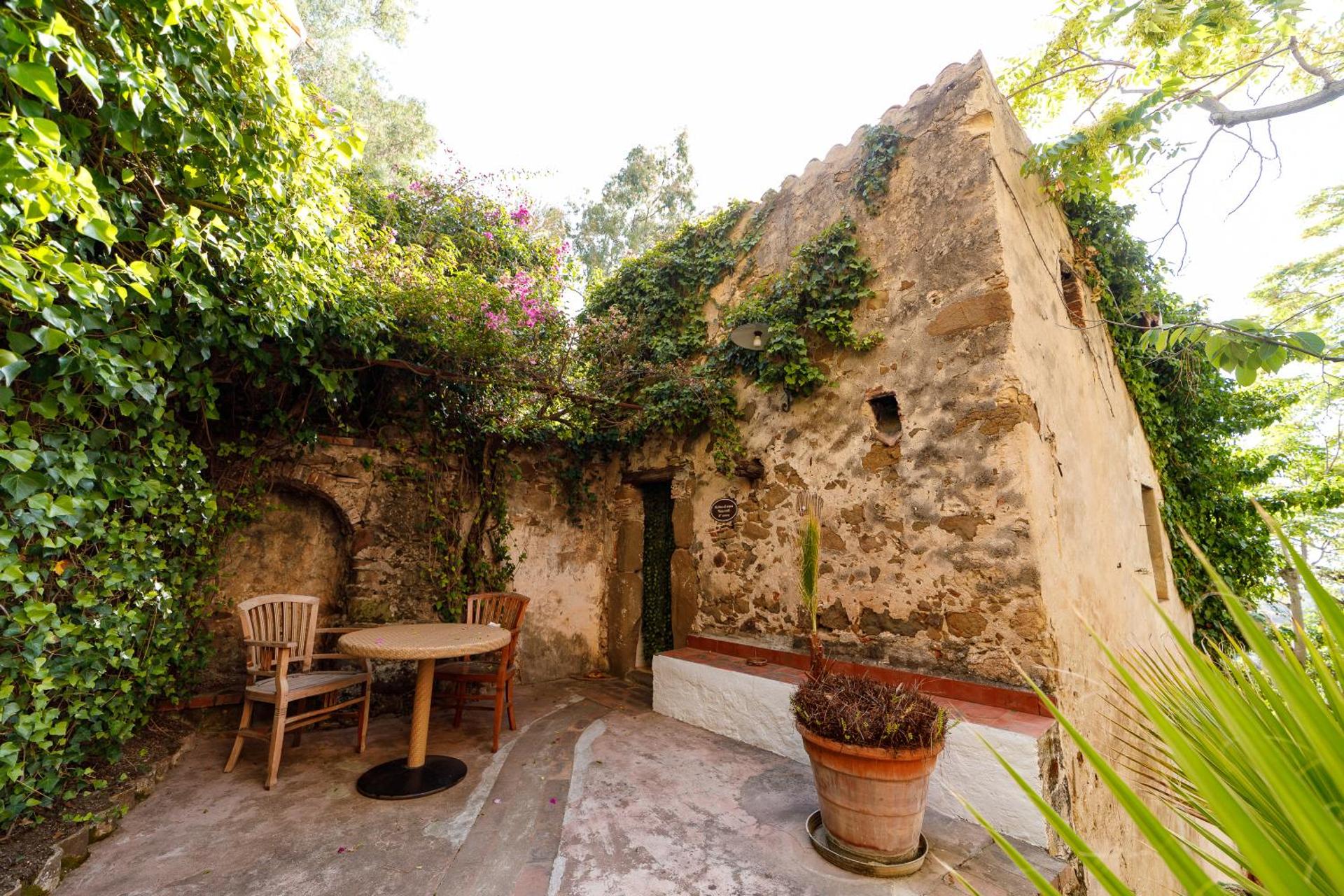 Alberi del Paradiso - Photo 191