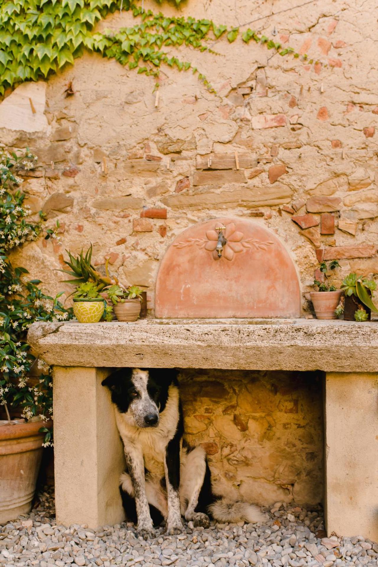 Agriturismo Il Rigo - Photo 23