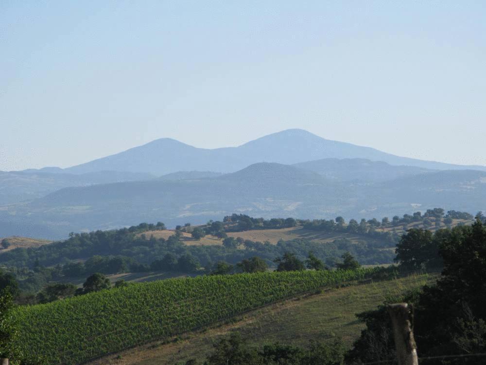 Le Murelle Country Resort - Photo 11