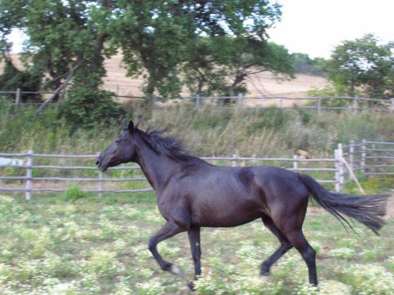 Le Murelle Country Resort - Photo 13