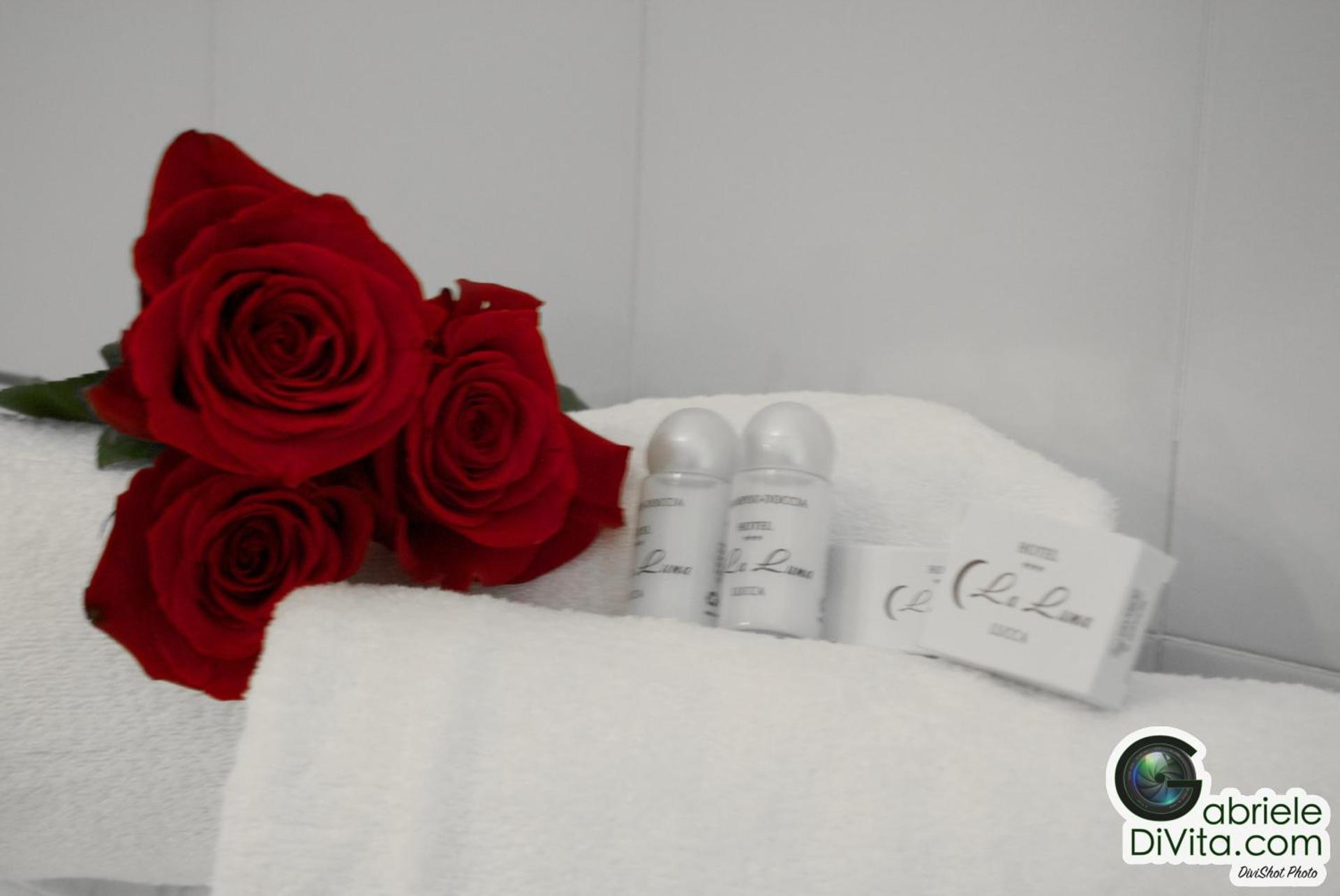 Deluxe Suite - Photo 3