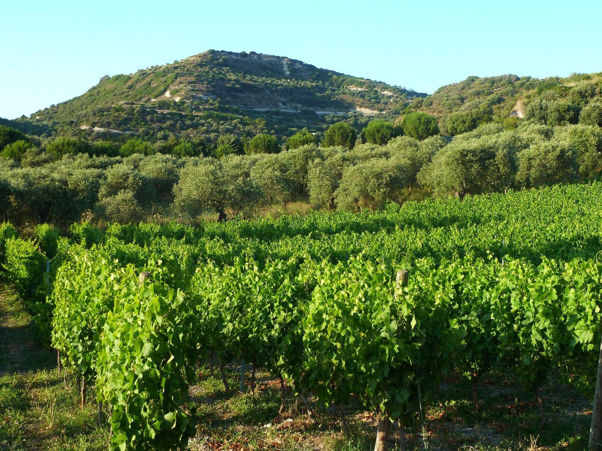 Pessighette Dimora Di Campagna - Photo 15