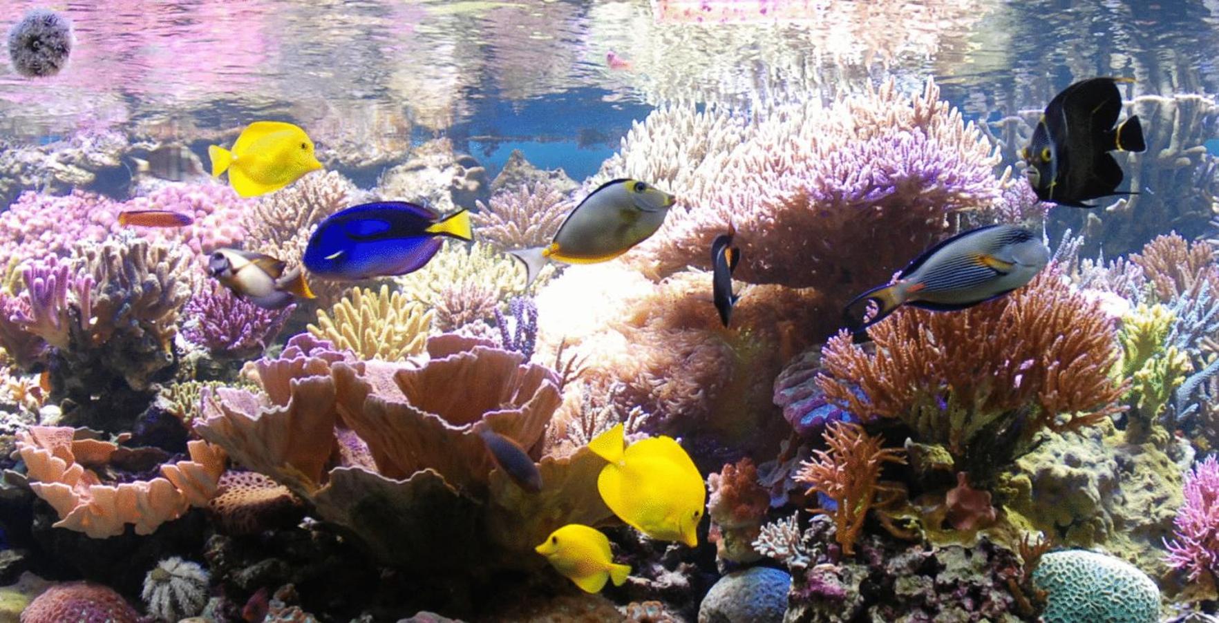 Hotel Grillo Verde - Photo 18