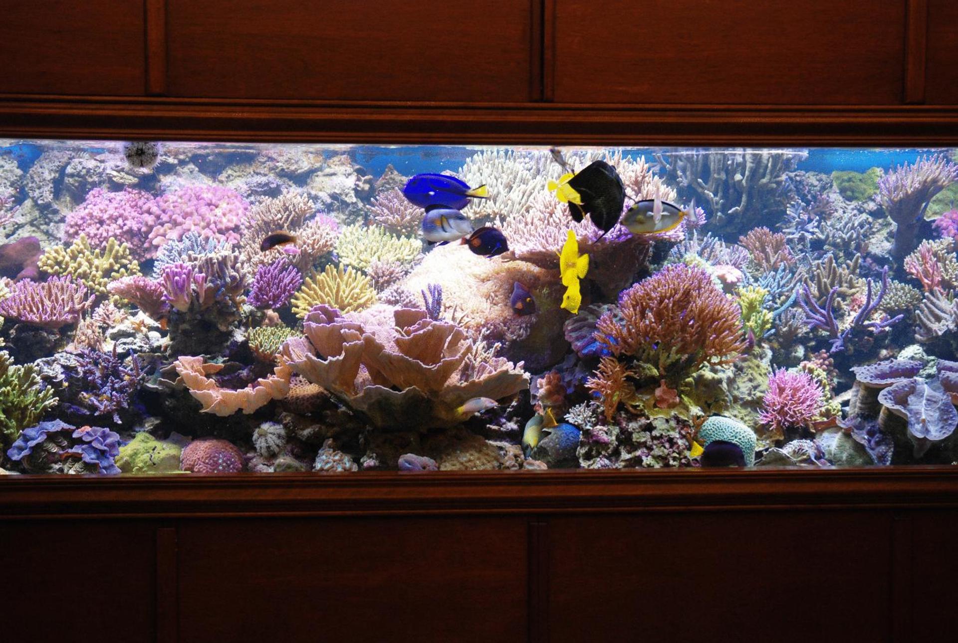 Hotel Grillo Verde - Photo 19