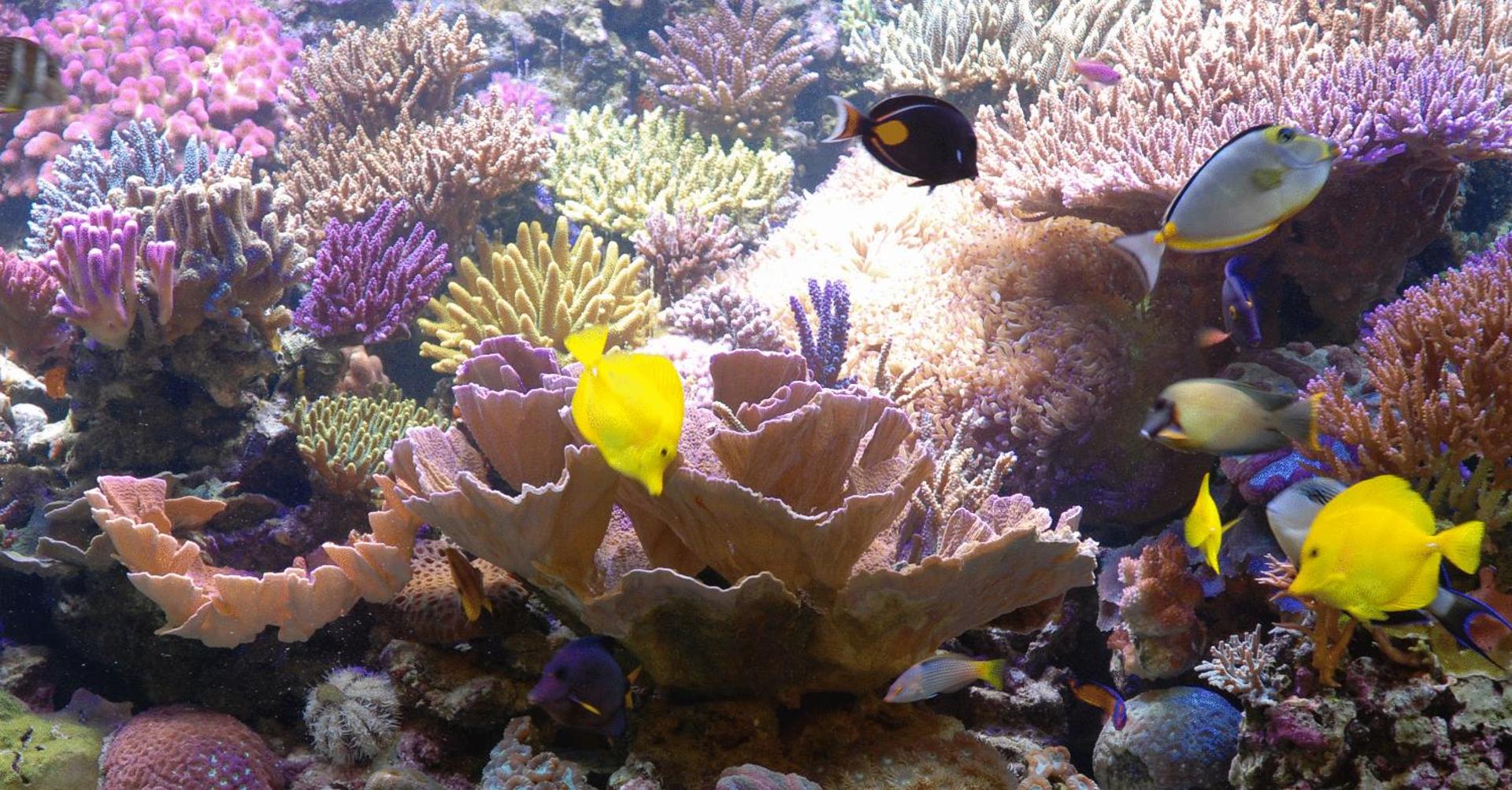 Hotel Grillo Verde - Photo 20