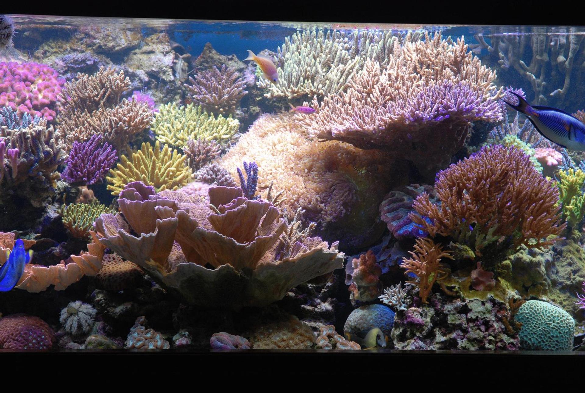 Hotel Grillo Verde - Photo 21