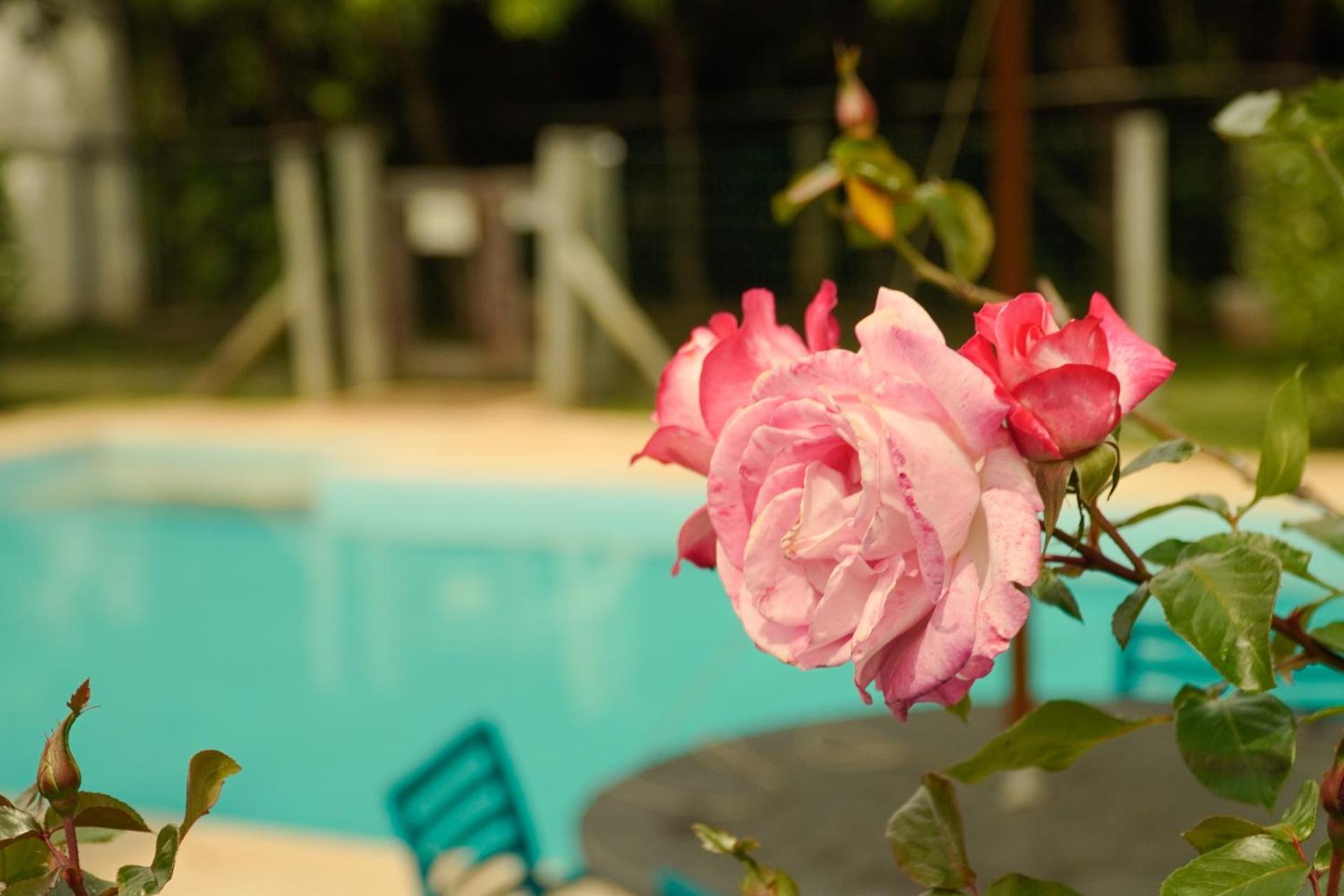 Pousada Dunasol Floripa - Photo 128