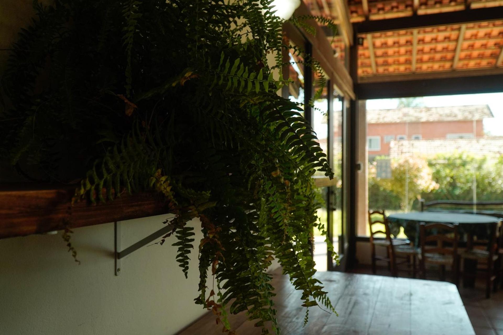 Pousada Dunasol Floripa - Photo 140