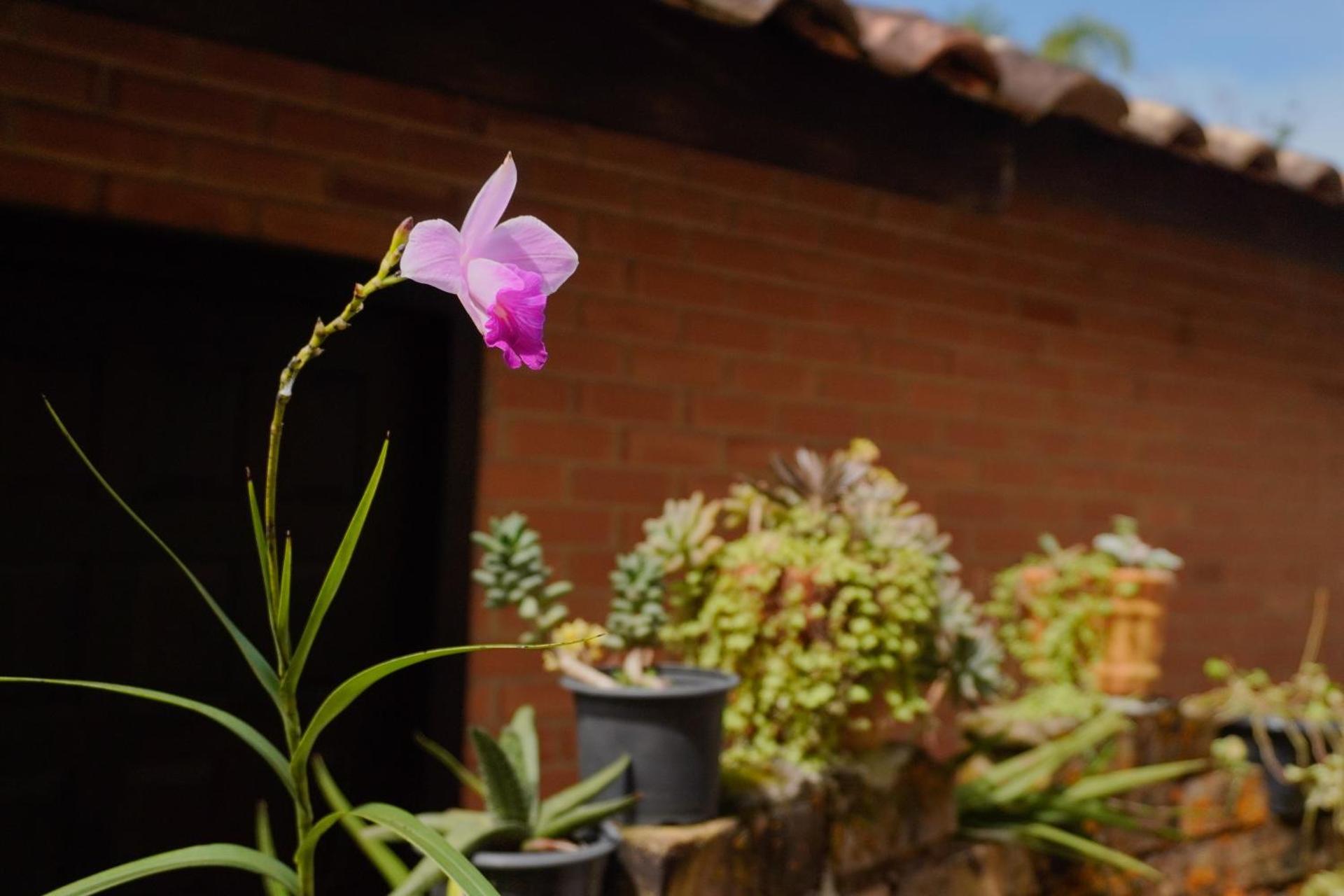 Pousada Dunasol Floripa - Photo 149