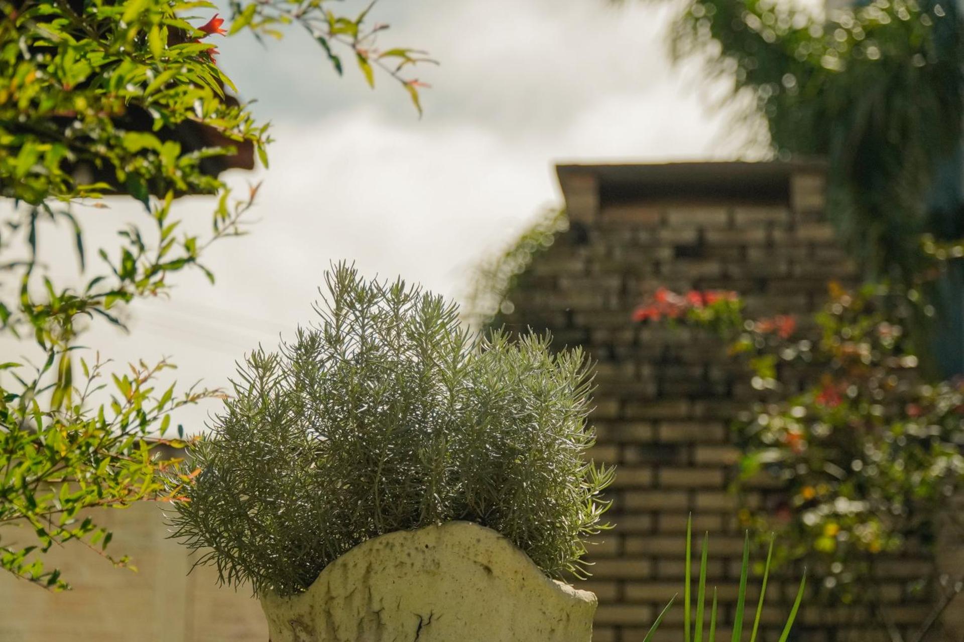 Pousada Dunasol Floripa - Photo 160