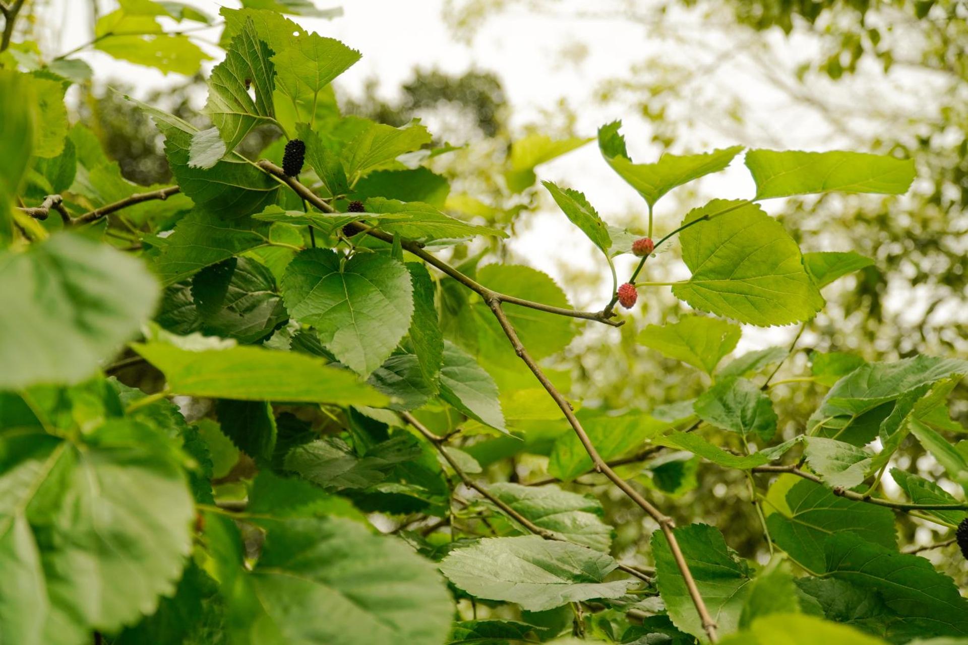 Pousada Dunasol Floripa - Photo 156