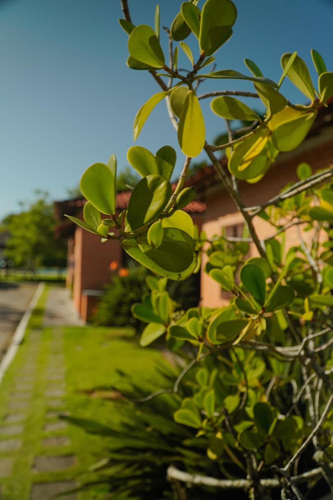 Pousada Dunasol Floripa - Photo 155