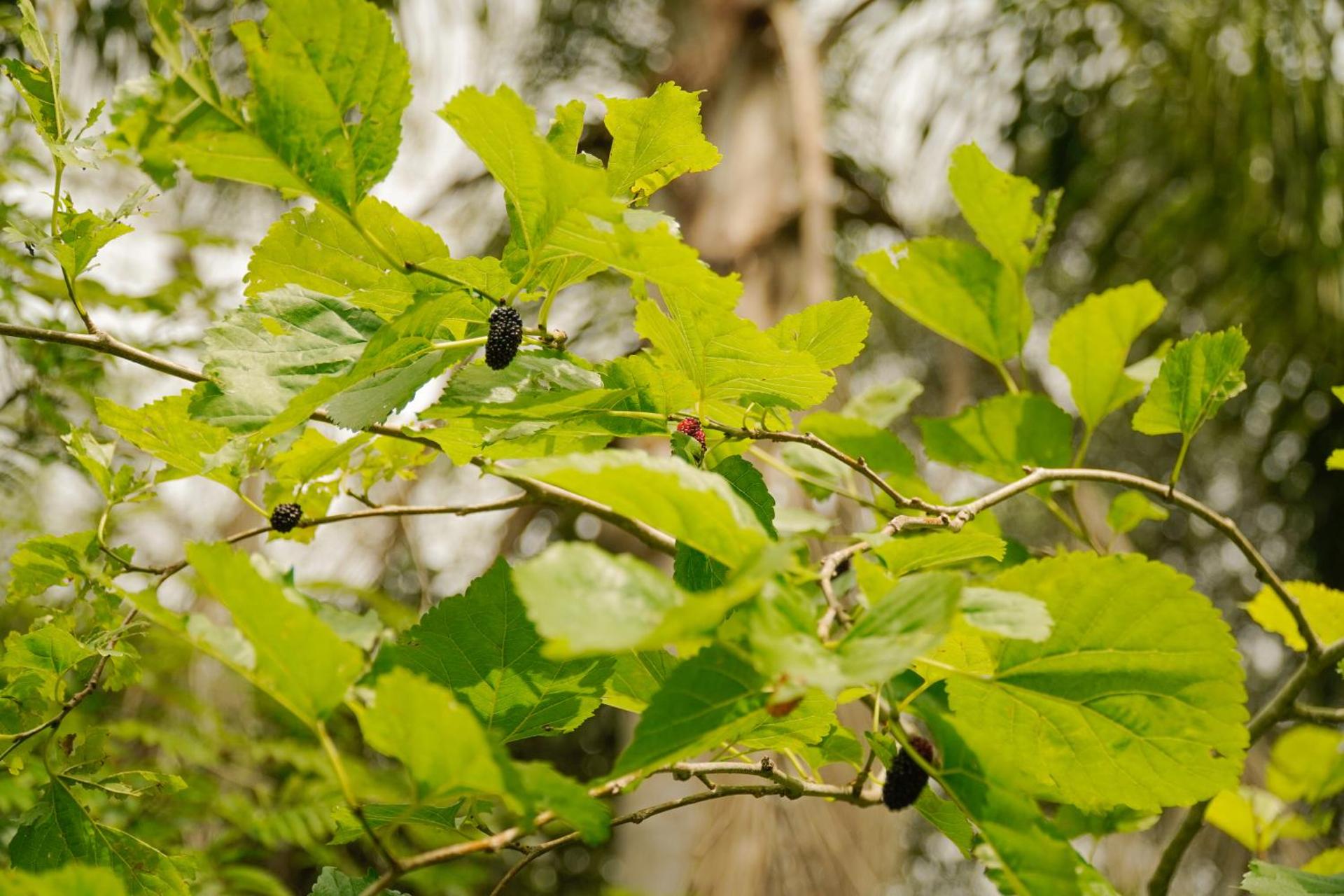 Pousada Dunasol Floripa - Photo 154