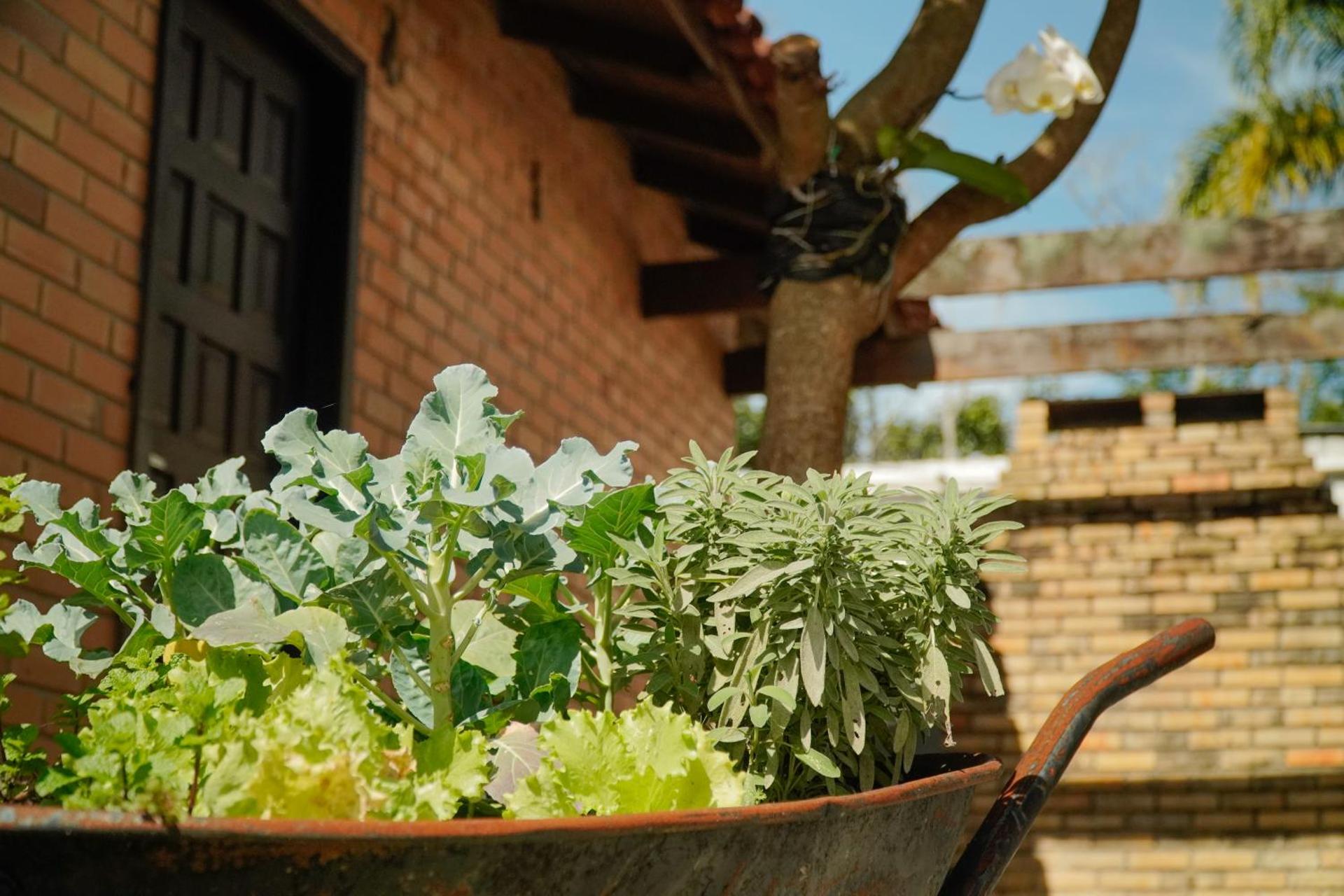 Pousada Dunasol Floripa - Photo 153