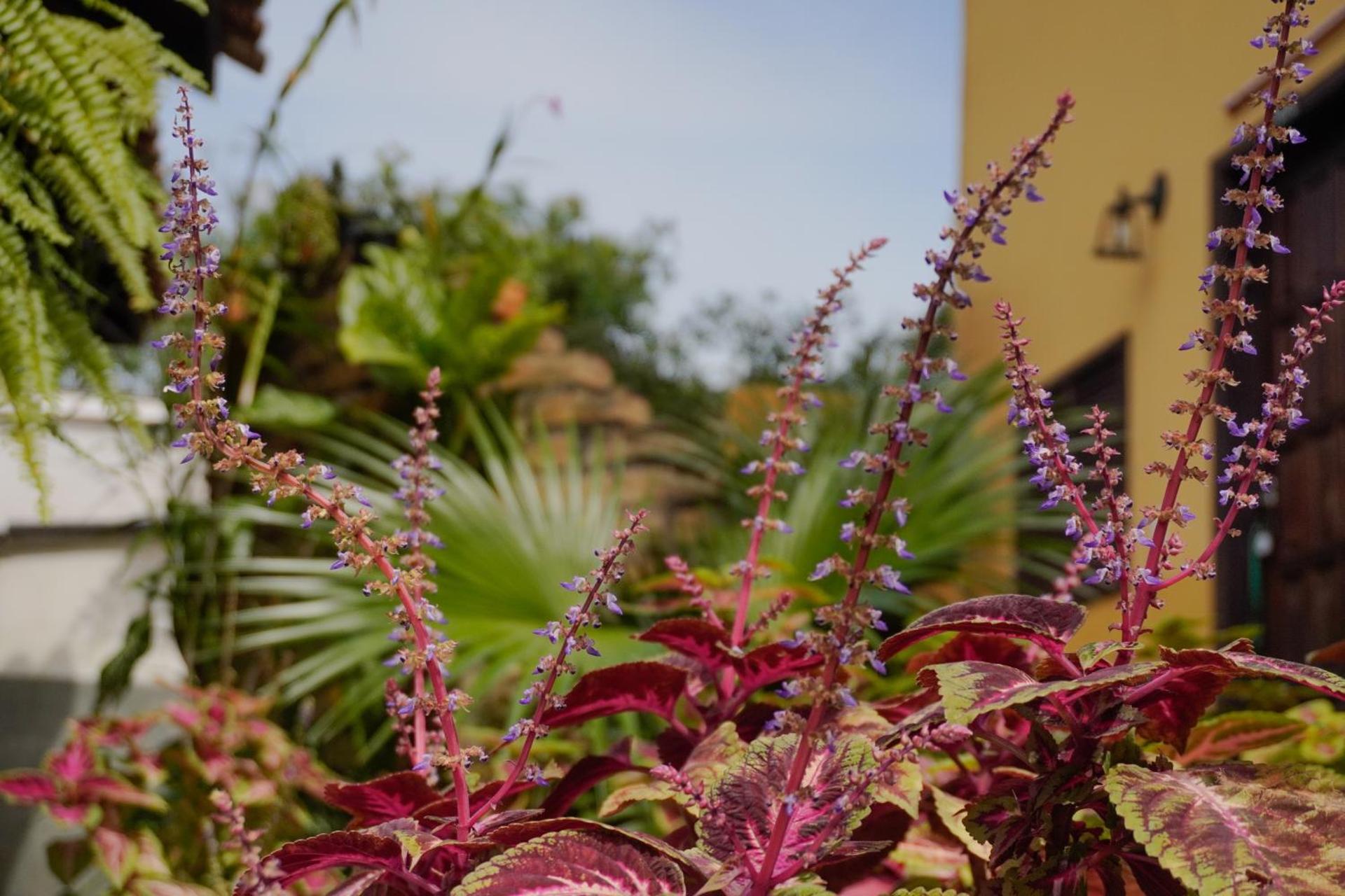 Pousada Dunasol Floripa - Photo 25