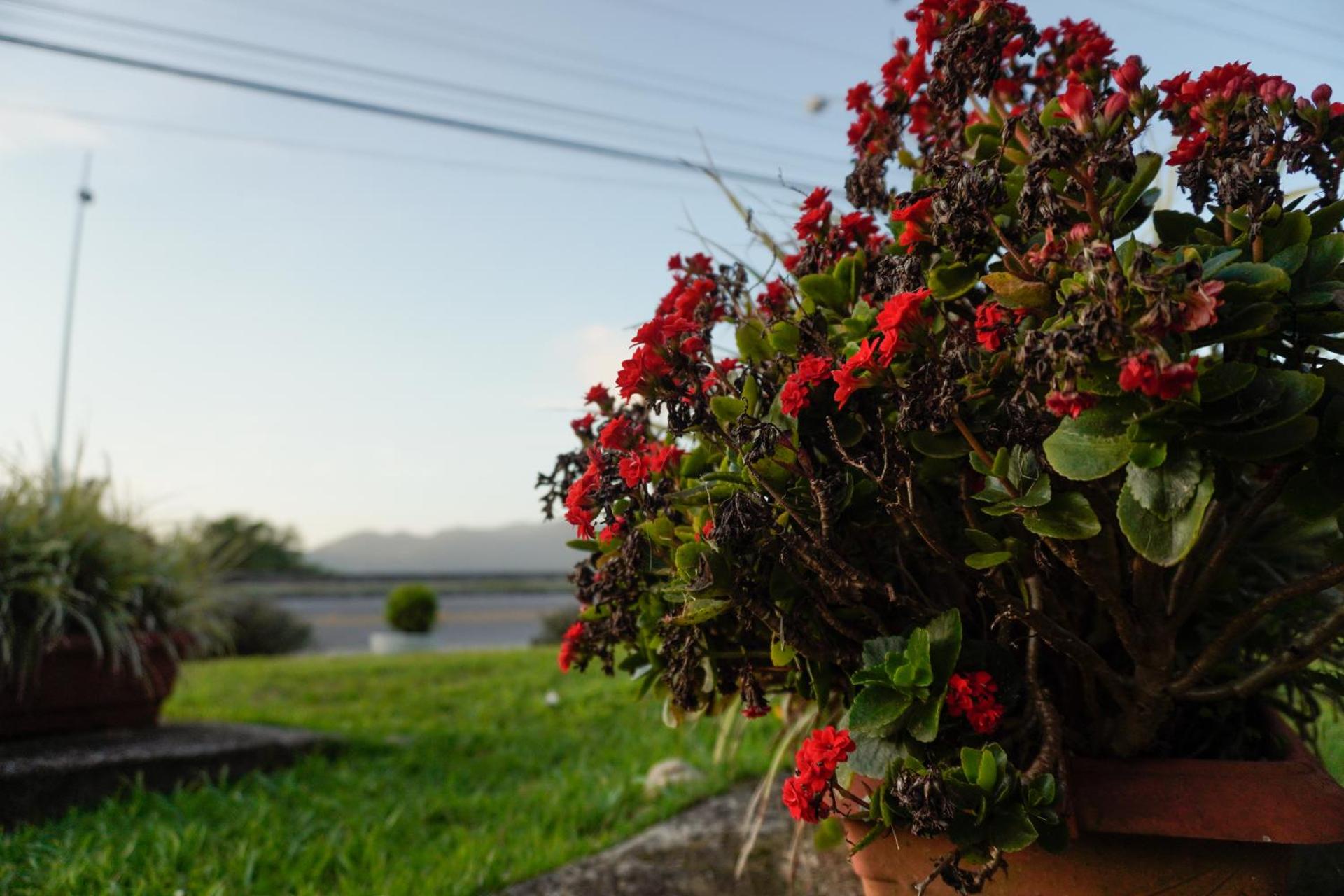 Pousada Dunasol Floripa - Photo 163