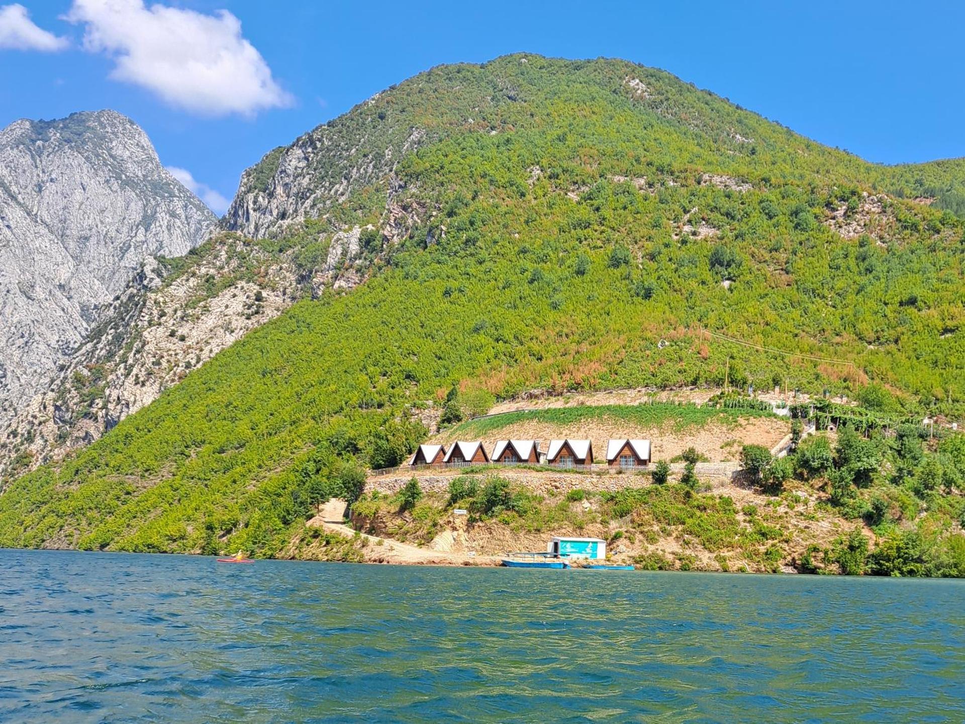 5 Stinet - Photo 124